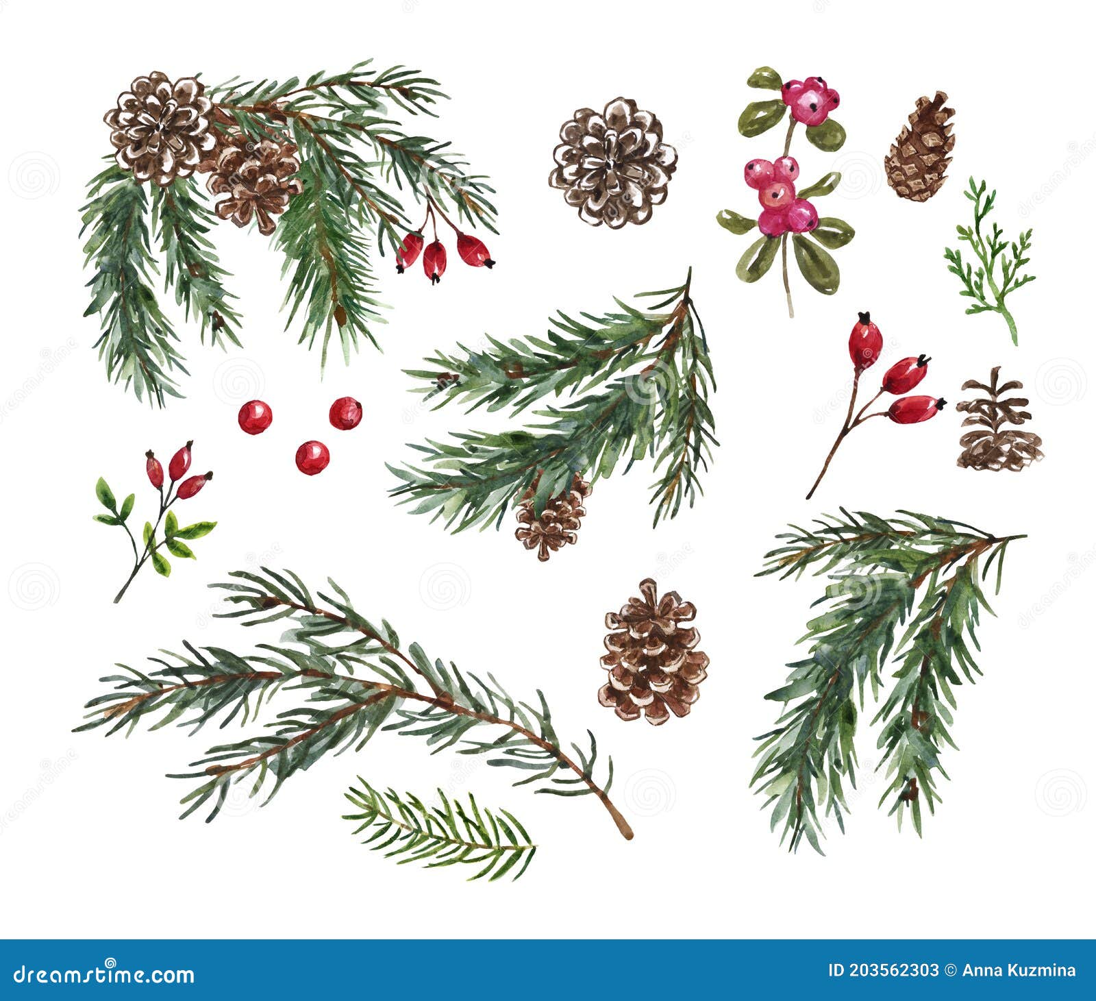 Hand Drawn Evergreen Branches Stock Illustration - Download Image