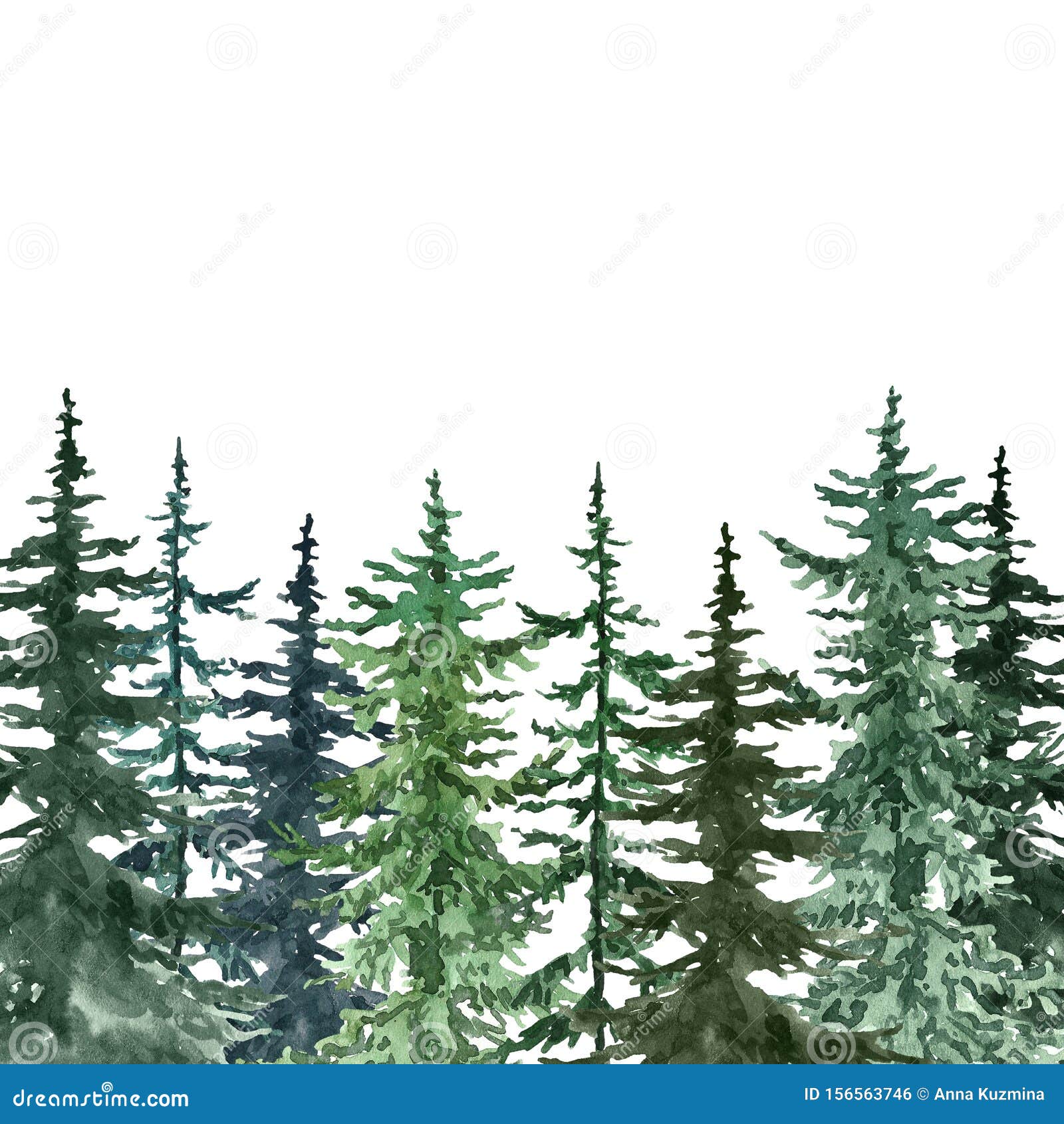 watercolor pine trees background. banner with hand painted spruce forest, . winter wonderland  for christmas