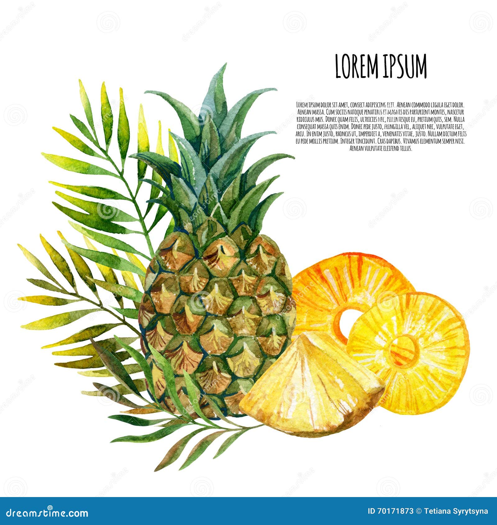 Watercolor pineapple set stock illustration. Illustration of green