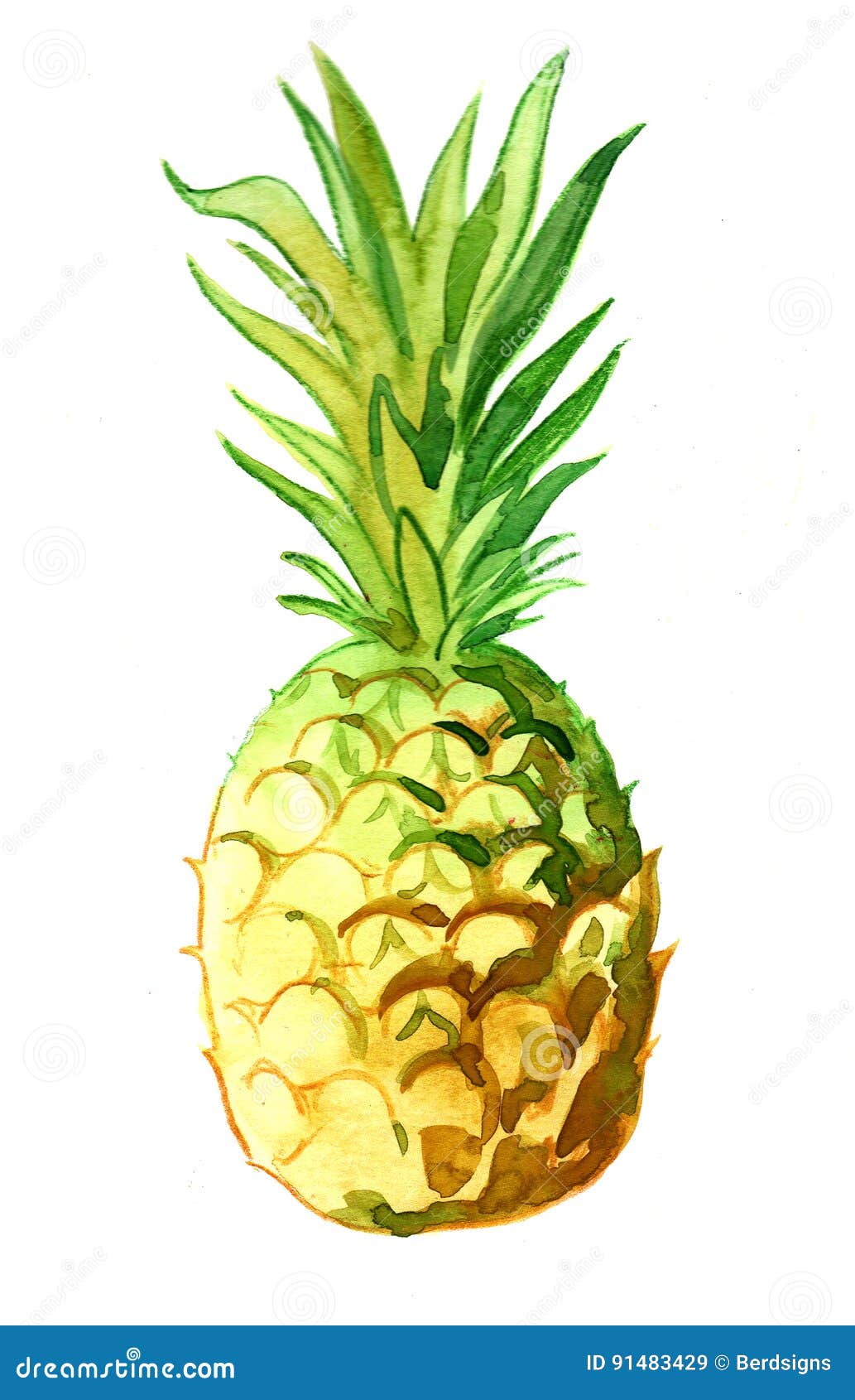 Watercolor pineapple stock illustration. Illustration of sweet 91483429