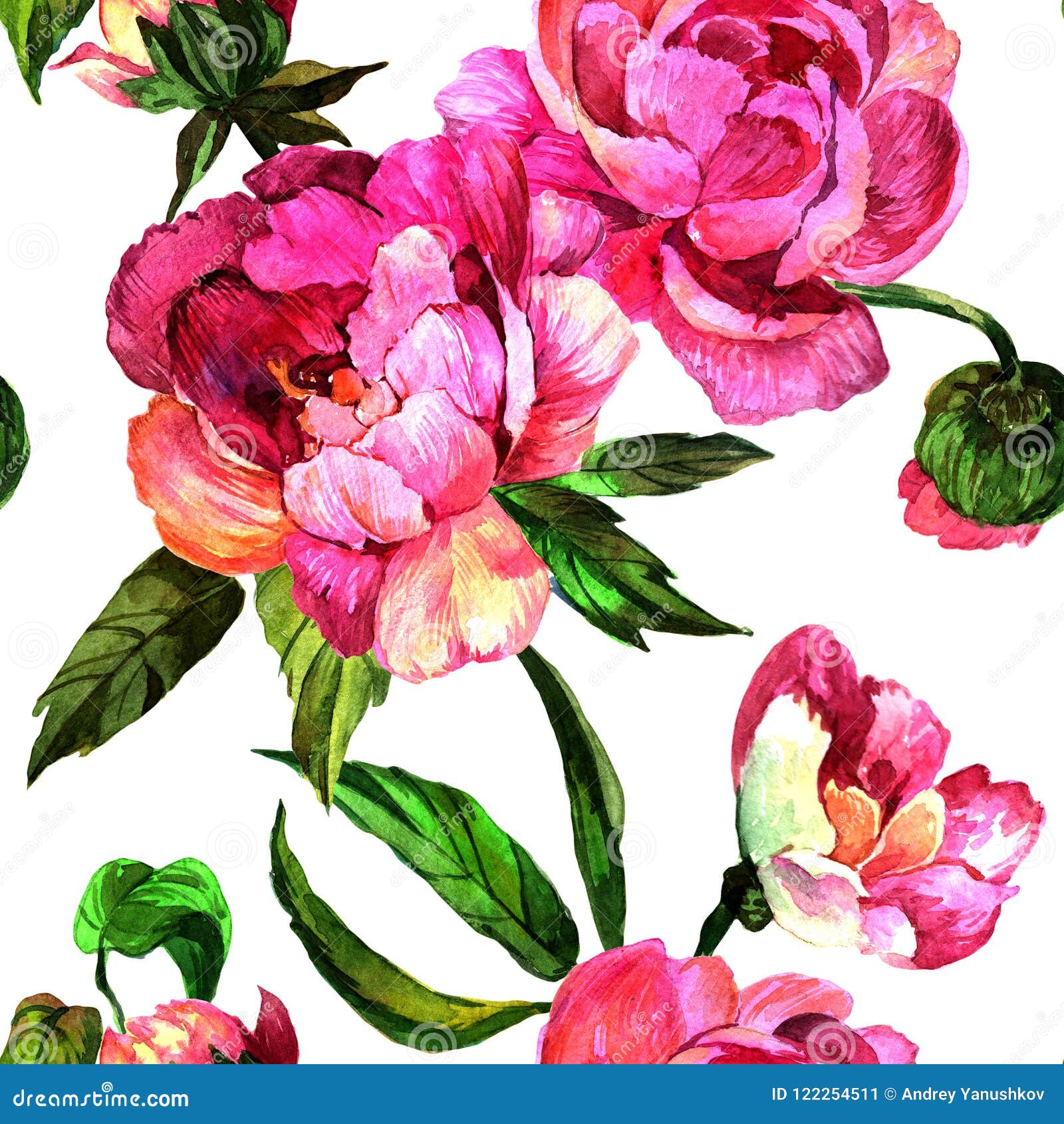 Watercolor Pink Peony Flower. Floral Botanical Flower. Seamless Background  Pattern Stock Illustration - Illustration of drawing, seamless: 122254511