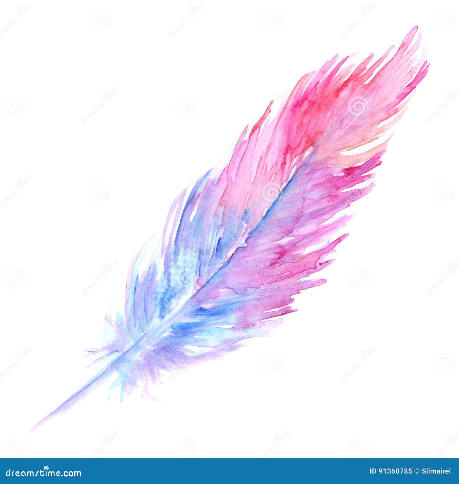 Blue and Feathers Too! Pink