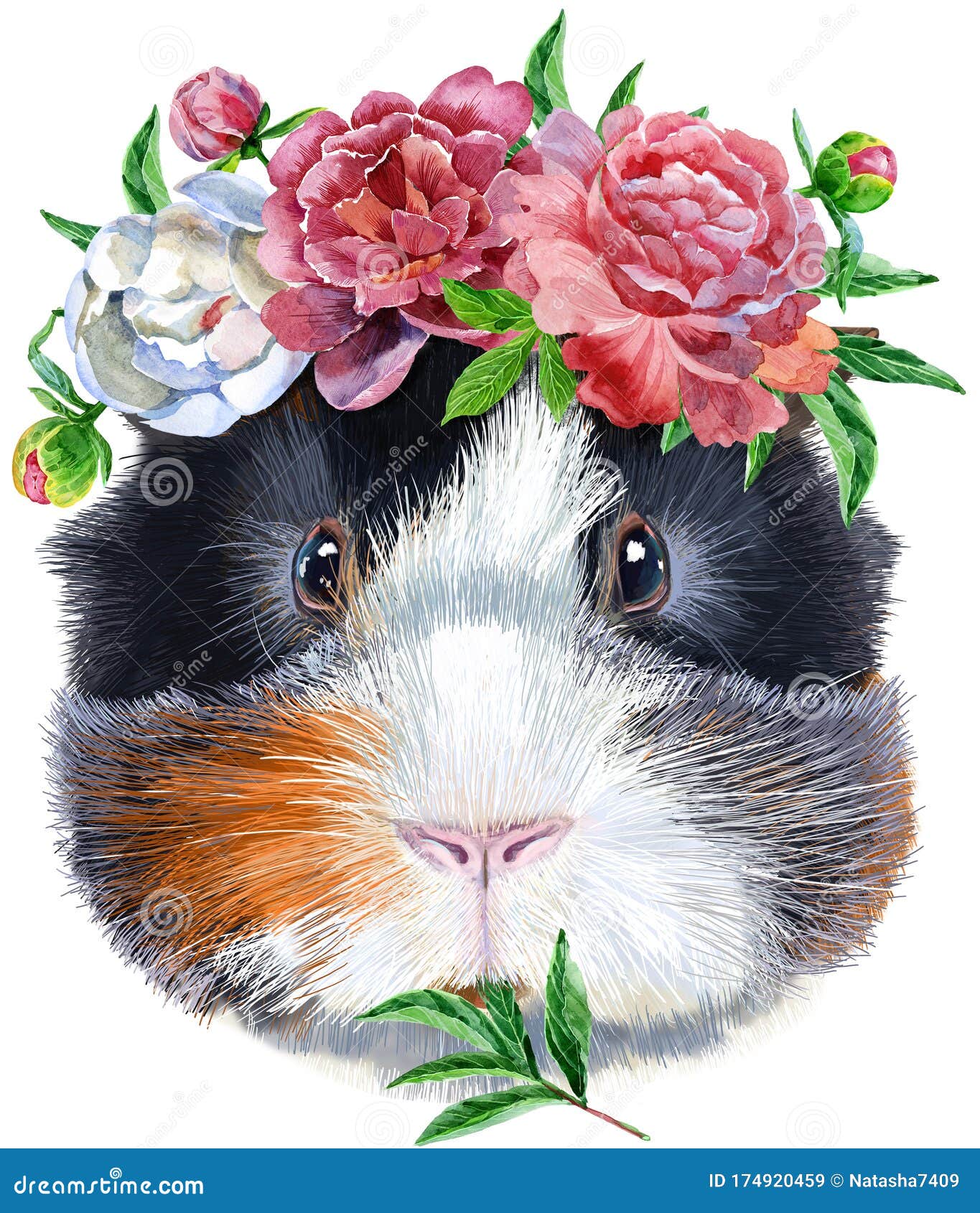 Watercolor Portrait Of Abyssinian Guinea Pig With Flowers