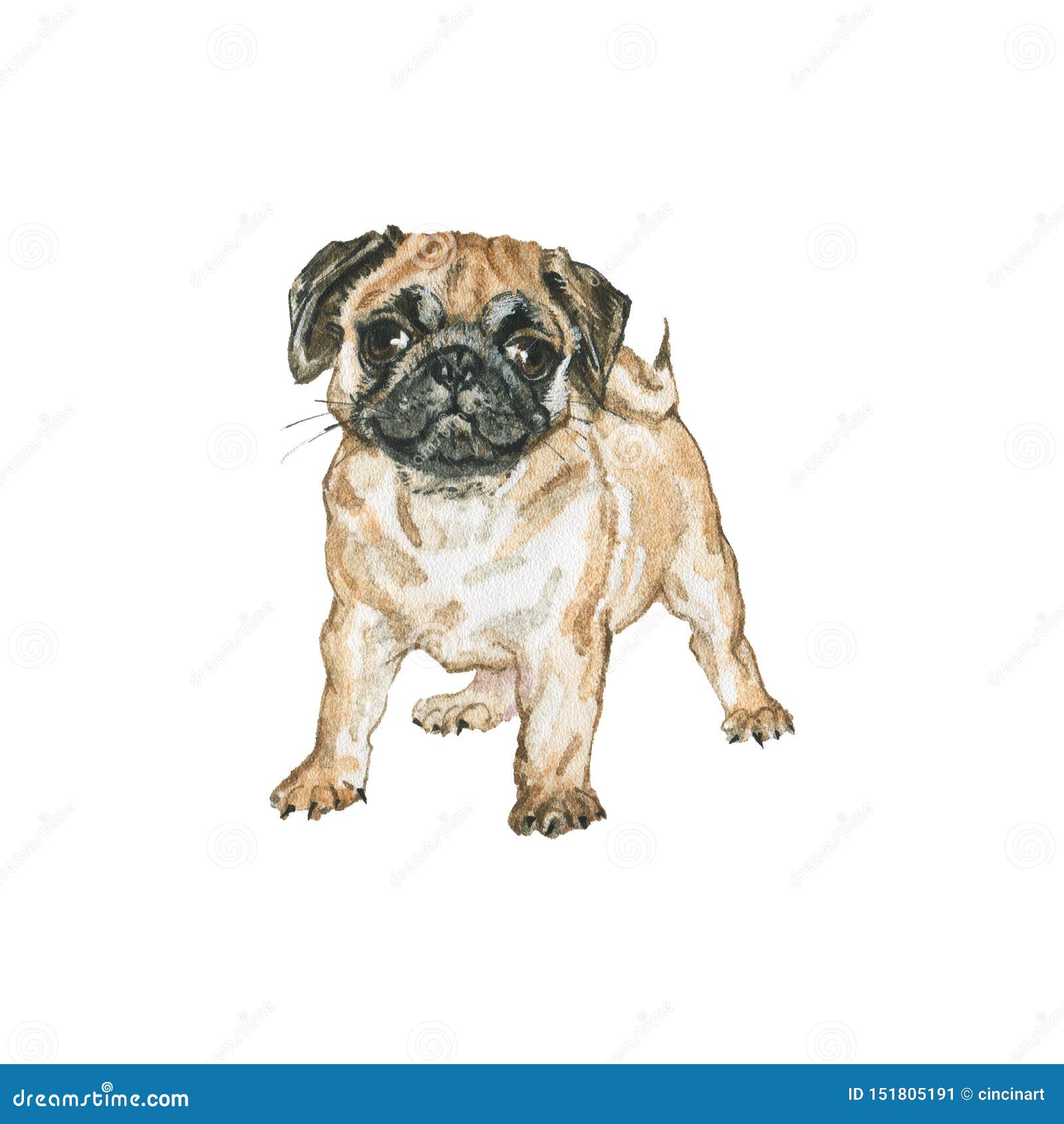 Pug 10x12 FT Backdrop Photographers,Detailed Portrait Drawing of a Dog Realistic Design of The Pet Animal Digital Art Background for Child Baby Shower Photo Vinyl Studio Prop Photobooth Photoshoot