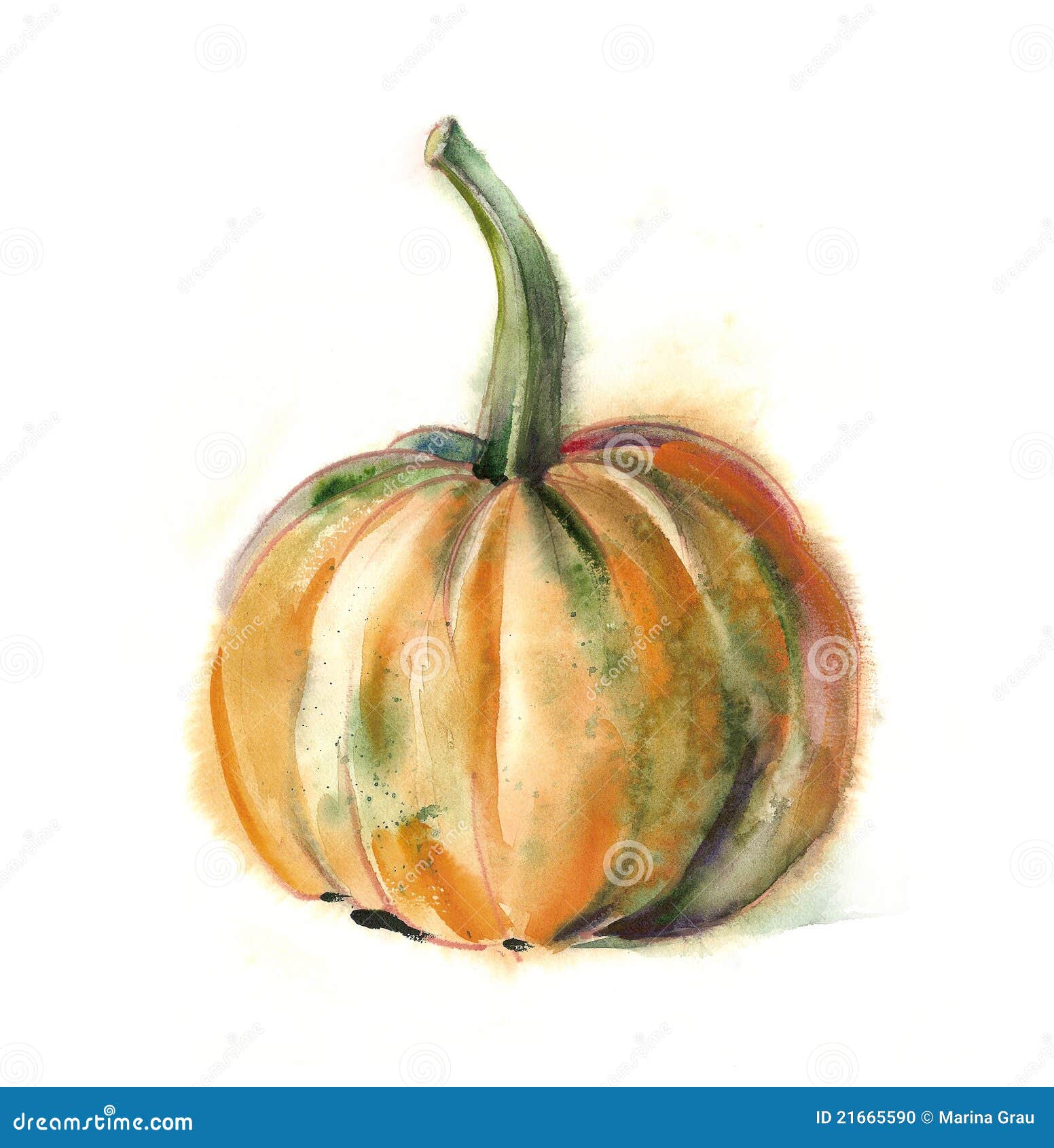 watercolor pumpkin clipart - photo #24