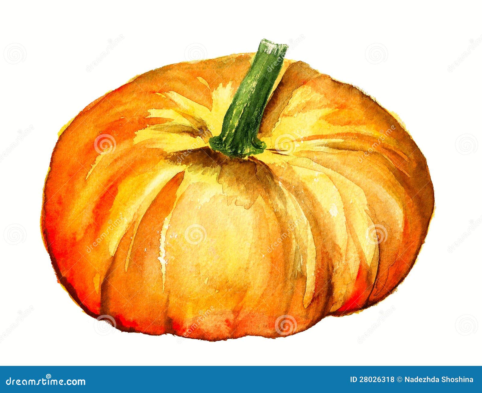 watercolor pumpkin clipart - photo #16