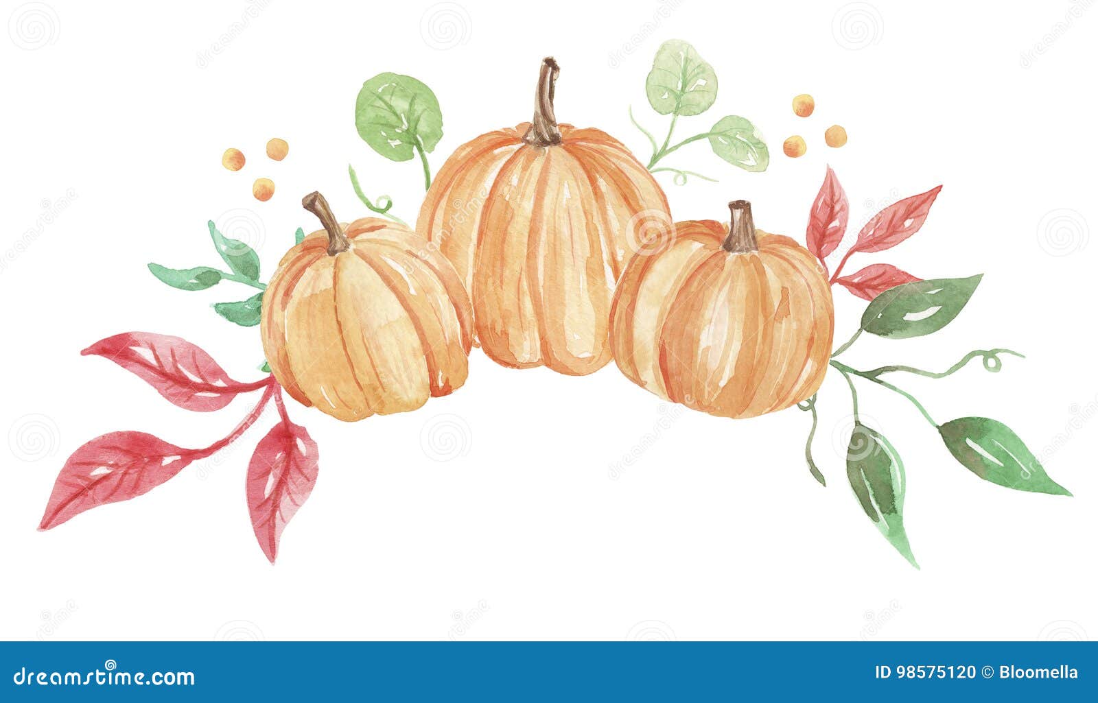 Watercolor Pumpkin Autumn Fall Flower Hand Painted Garland Floral Wreath Stock Illustration - Illustration Of Pretty, Circle: 98575120