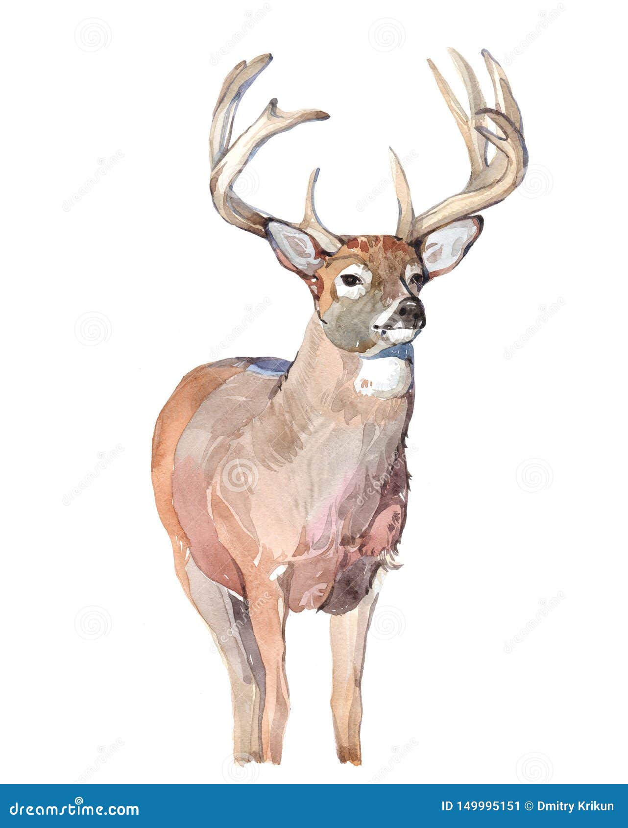 Free: Cute baby deer looking at front vector illustration Free Vector -  nohat.cc