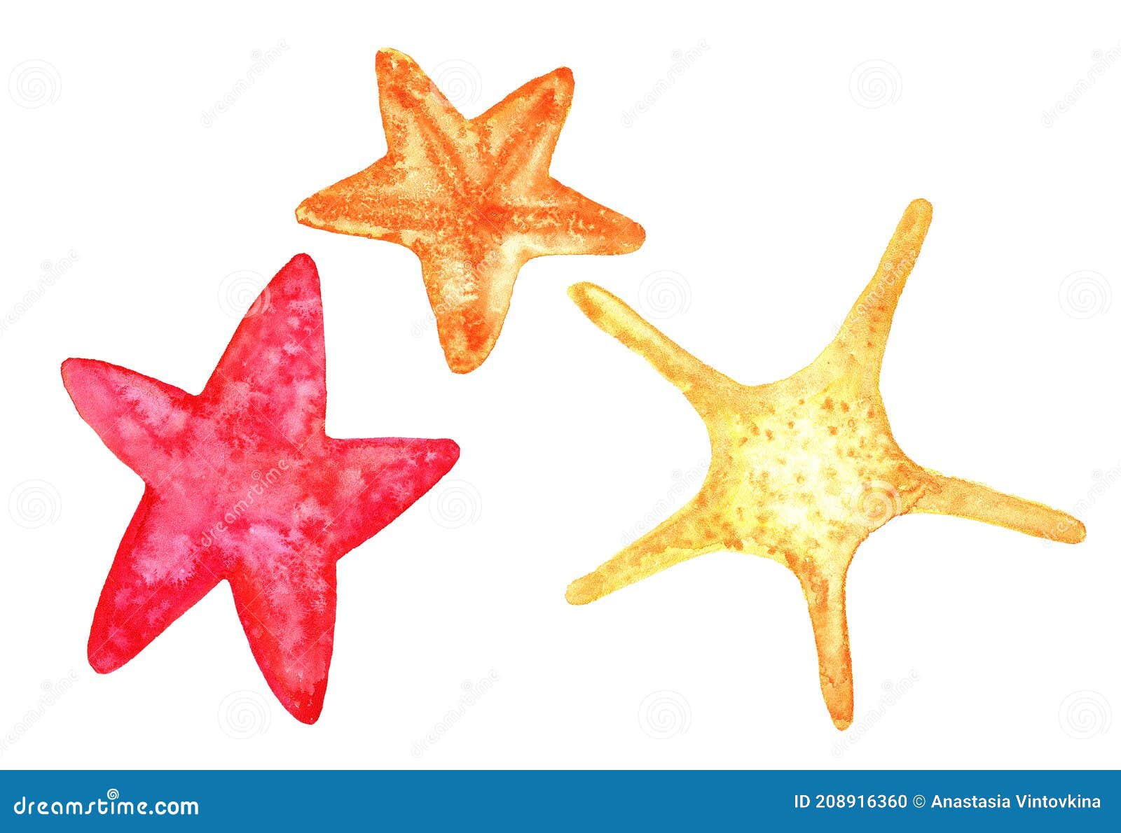 Sugar Starfish: Over 73 Royalty-Free Licensable Stock Illustrations &  Drawings | Shutterstock