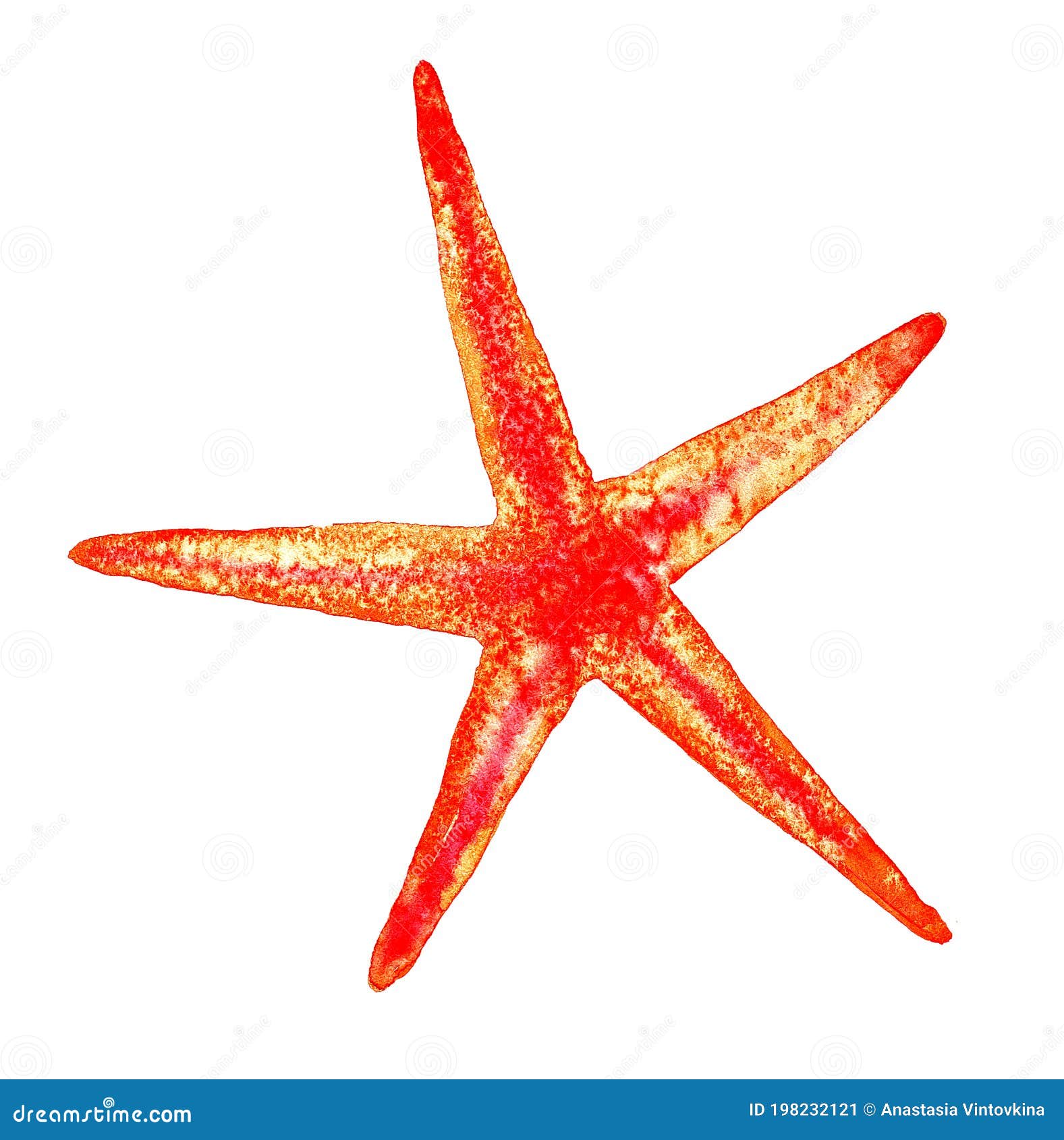 Starfish Line Drawing PNG Images - Pngtree