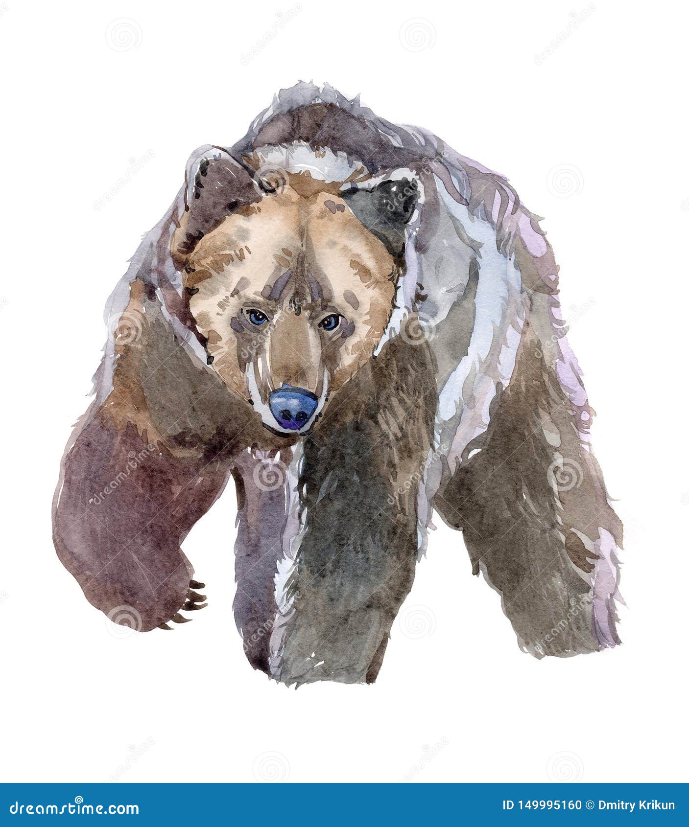 watercolor realistic grizzly  bear forest animal 