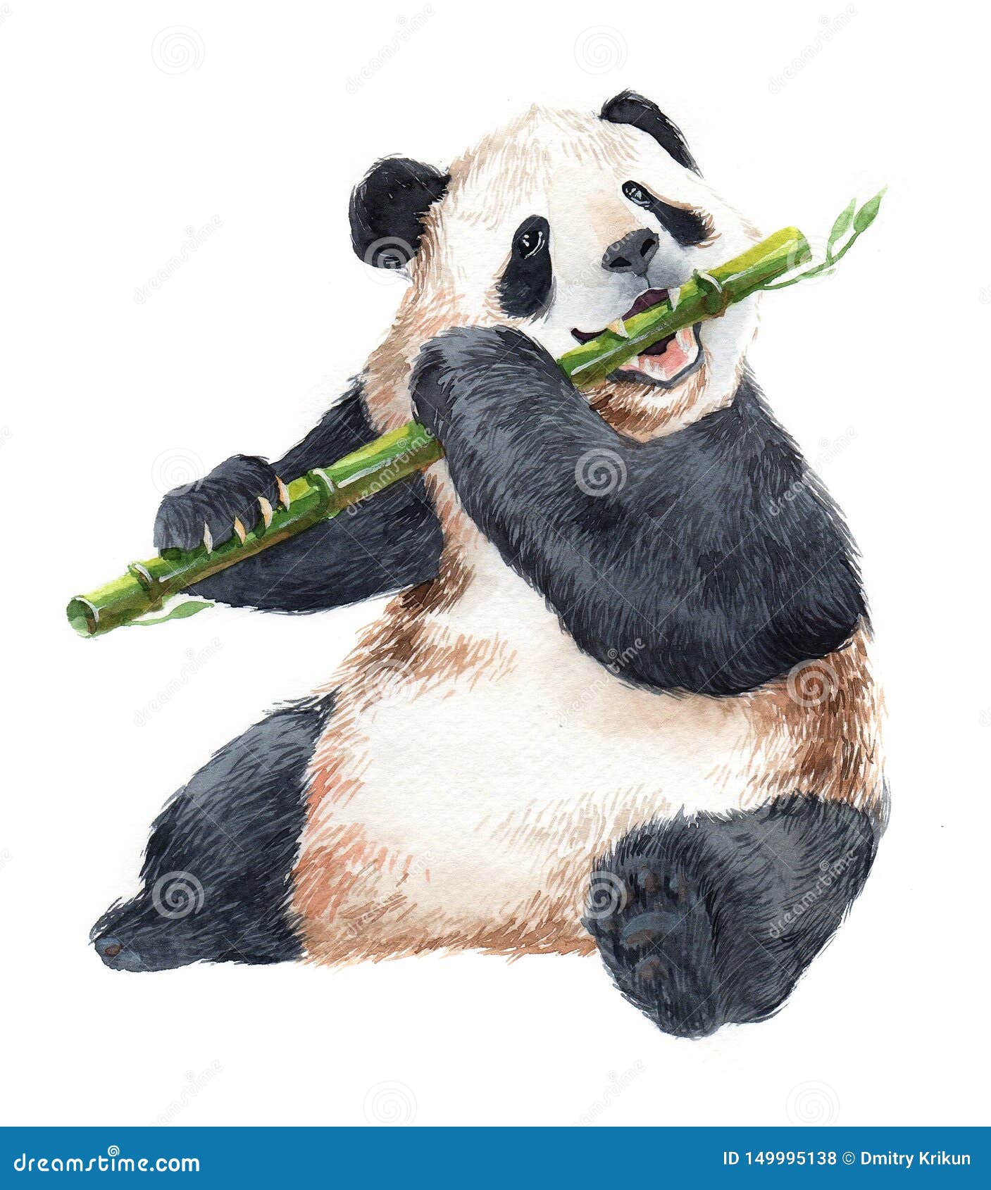 Tattoo Oso Panda Realista  Realistic animal drawings, Panda drawing,  Pencil drawings of animals