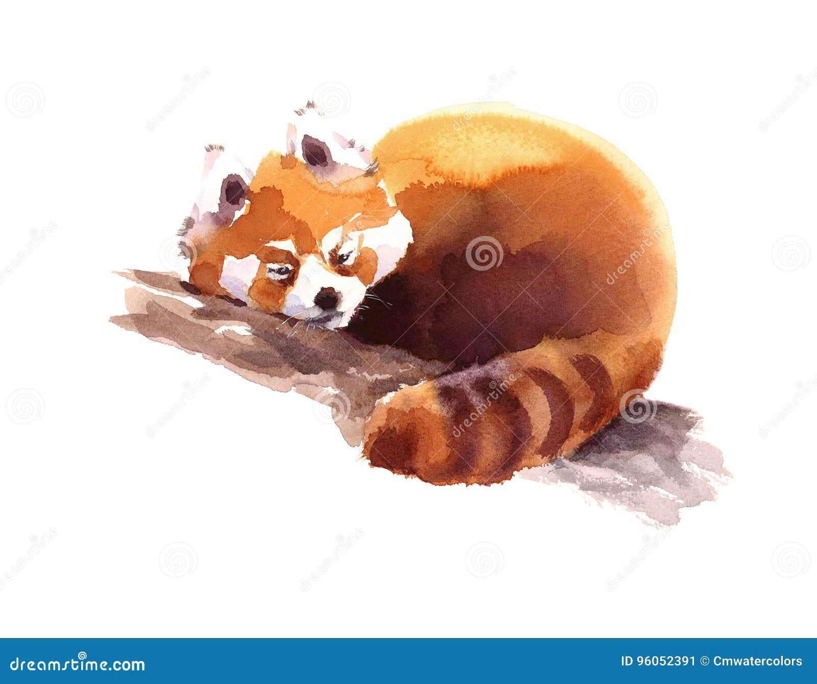 Panda Sleeping On A Branch Cartoon Vector 18812015