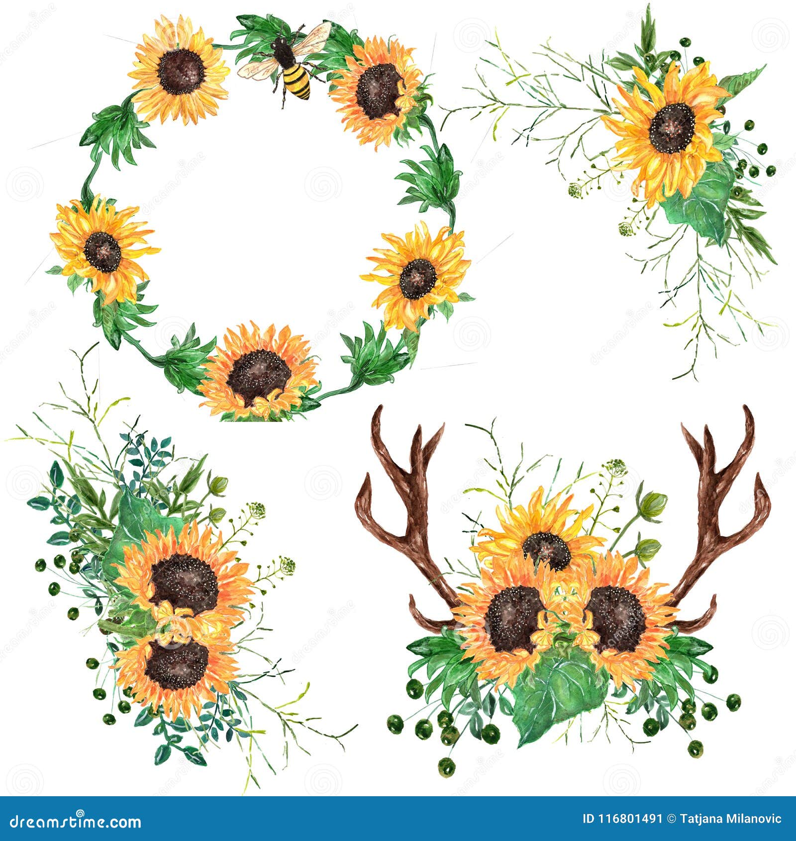 Watercolor Sunflower Wreath,bouquets And Deer Antlers With ...