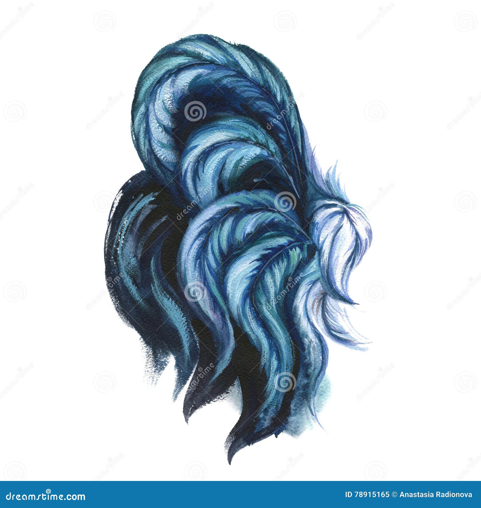 Watercolor Rooster Illustration. Blue Rooster Tail Stock