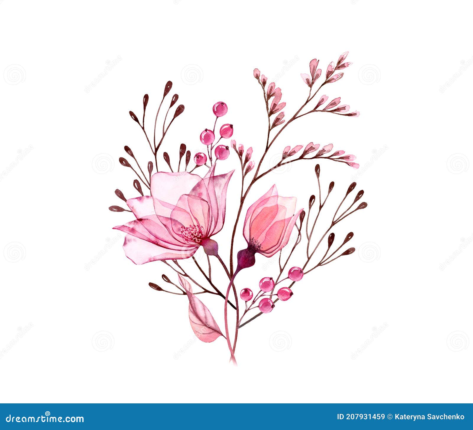 Watercolor Rosebud Isolated on White. Hand Draw Illustrations