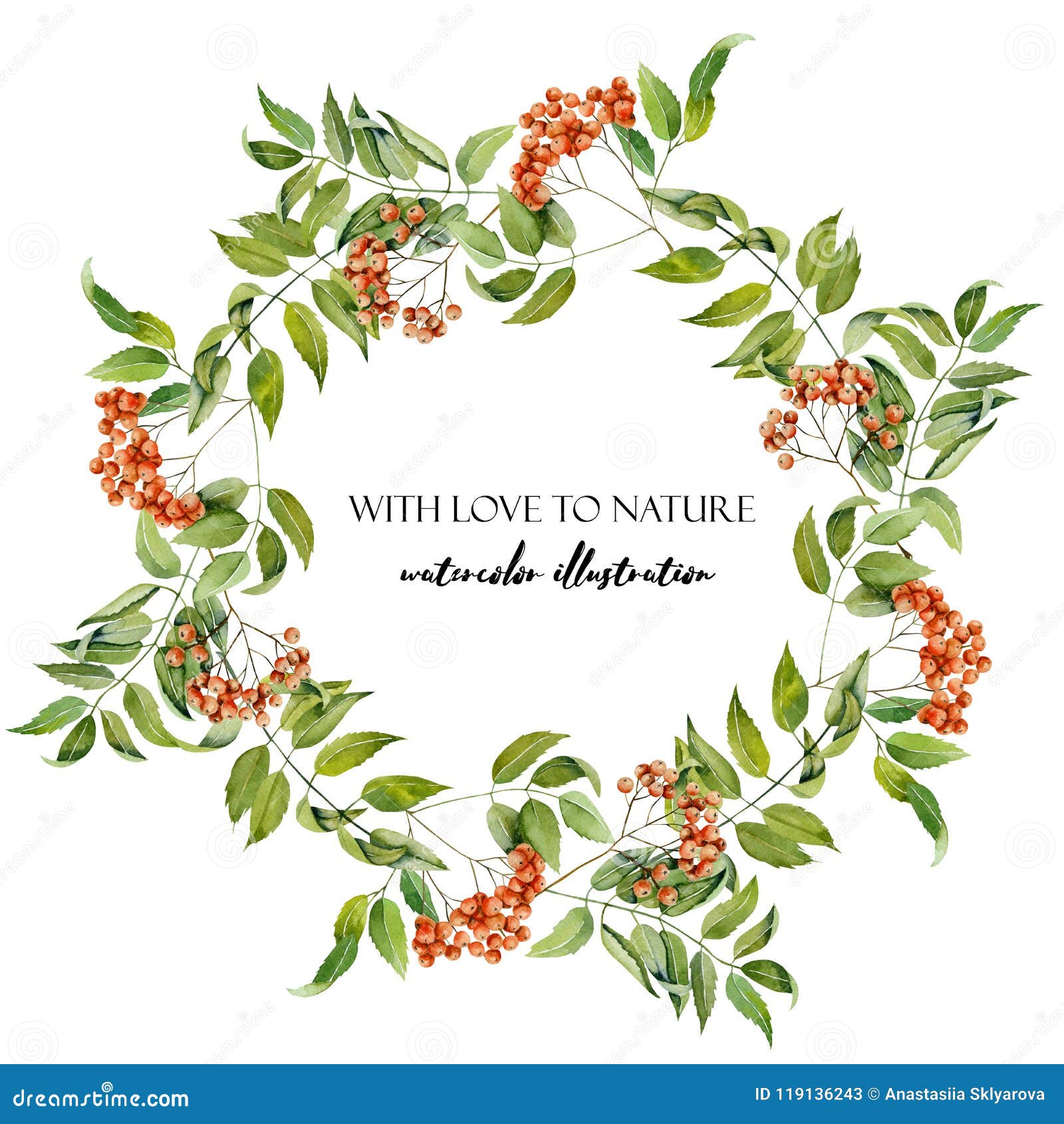 watercolor rowan branches wreath, frame border