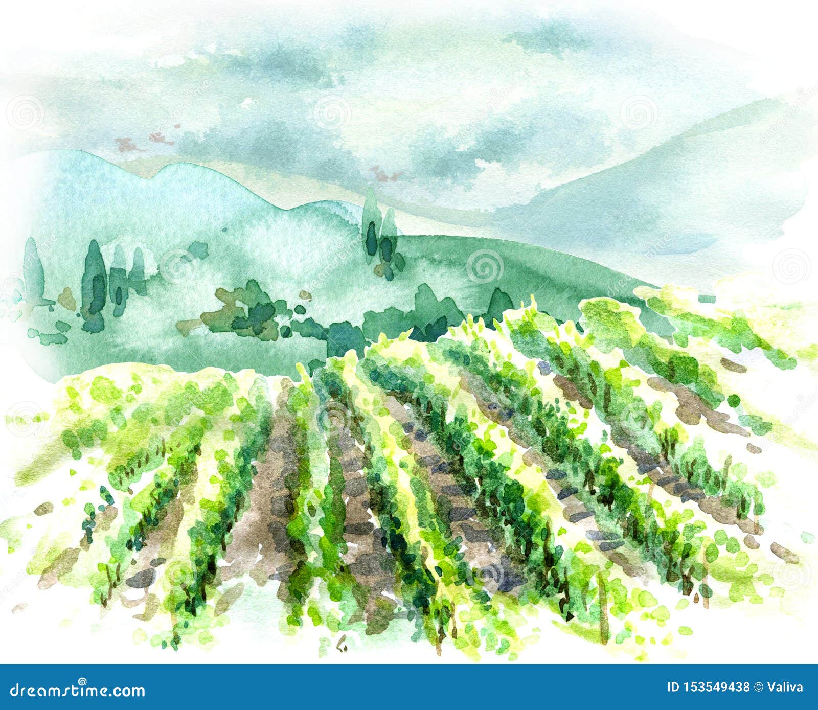 watercolor rural scene with hills, vineyard  and trees