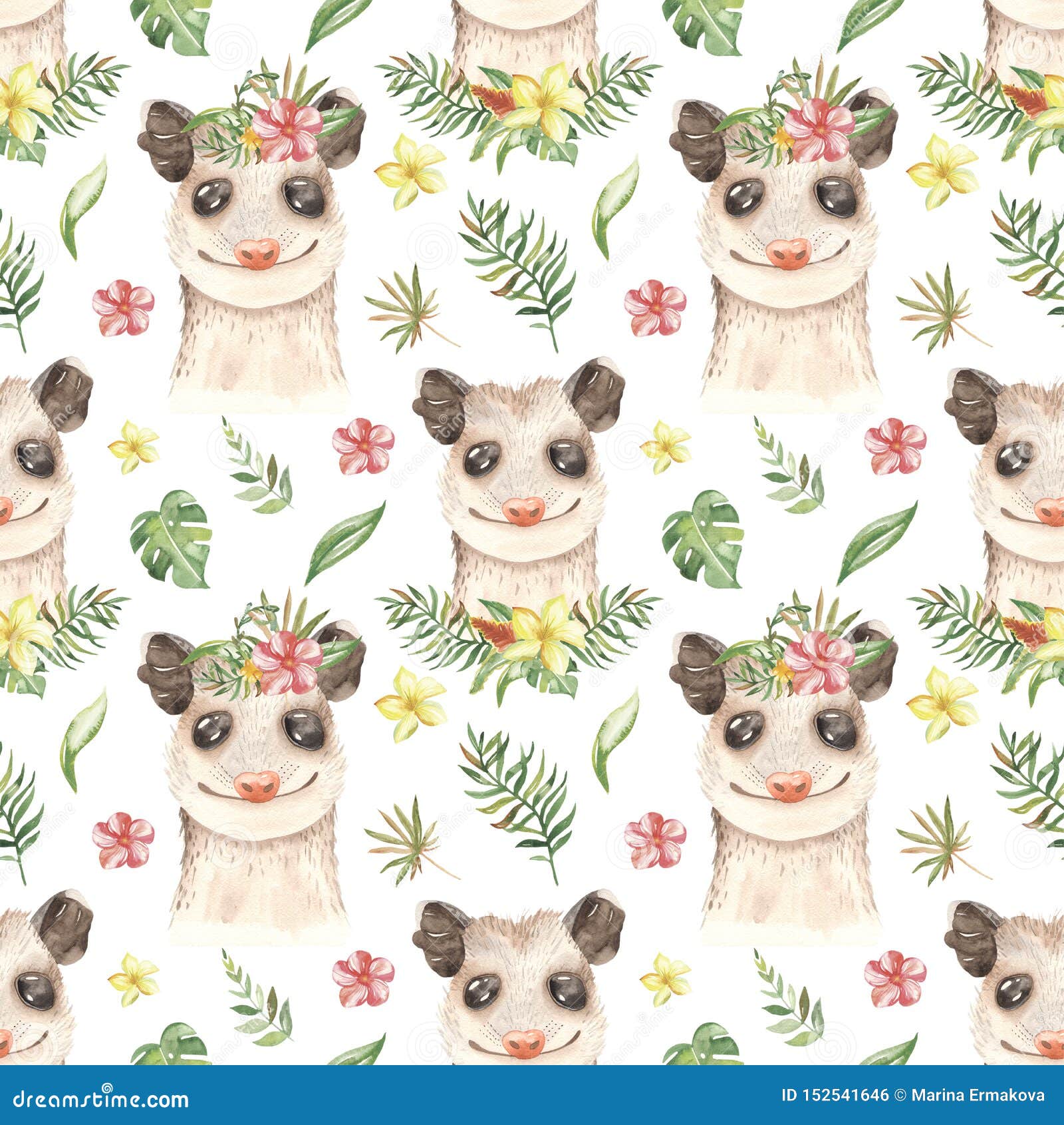 Wallpaper nature background possum images for desktop section животные   download