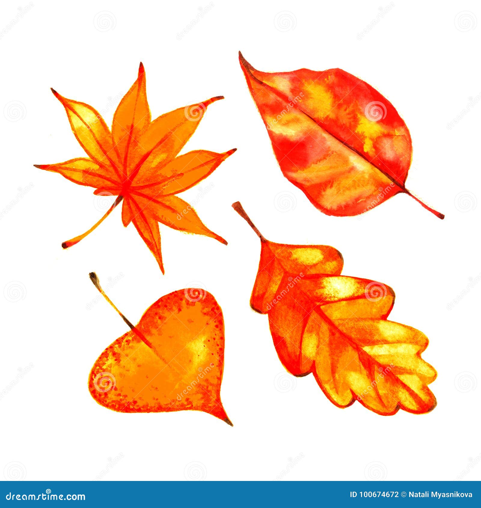 Осенние листья акварель набор