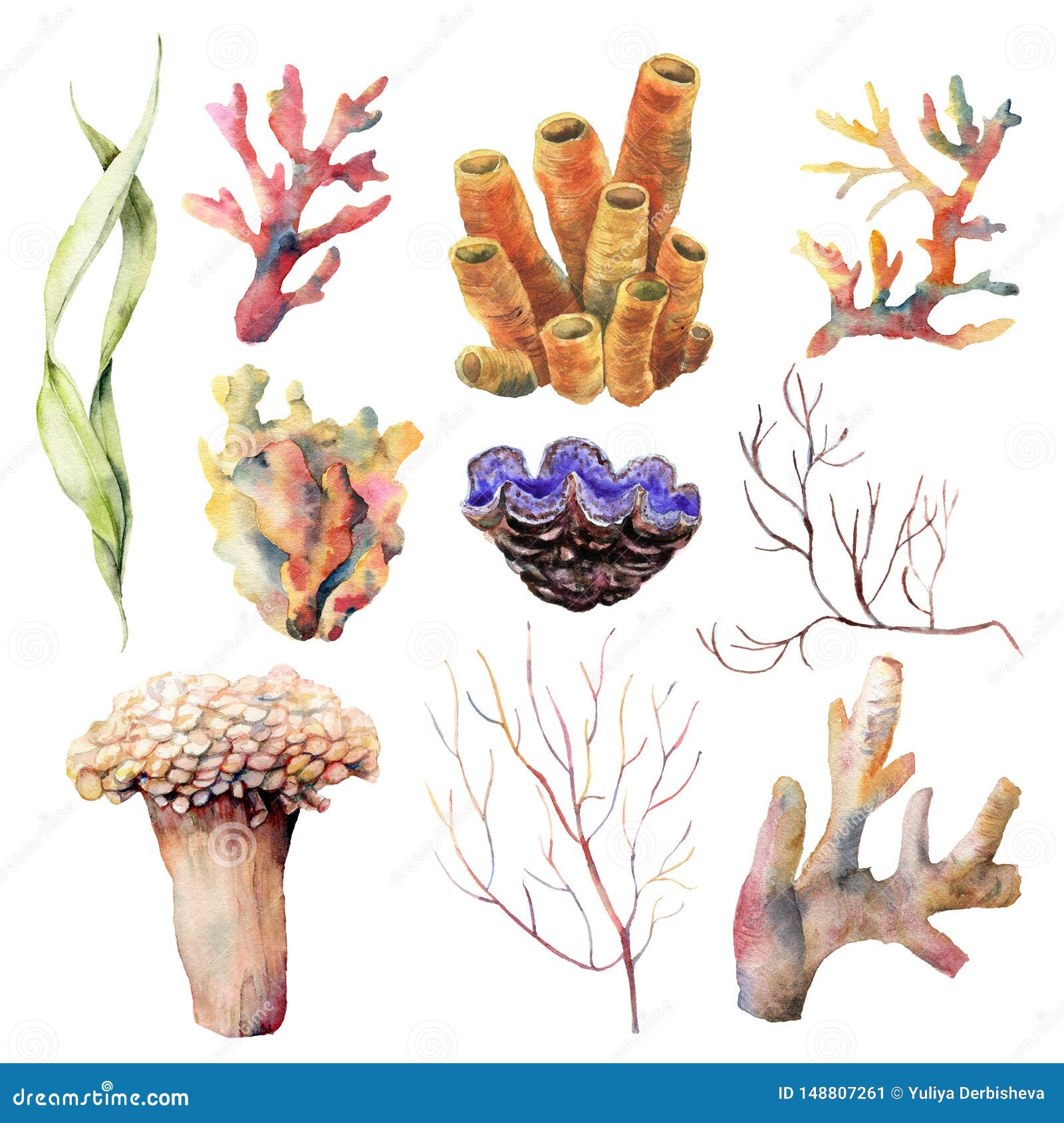 Watercolor Set with Coral Reef Plants and Animals. Hand Painted Underwater  Branches and Shell Isolated on White Stock Illustration - Illustration of  aquatic, element: 148807261