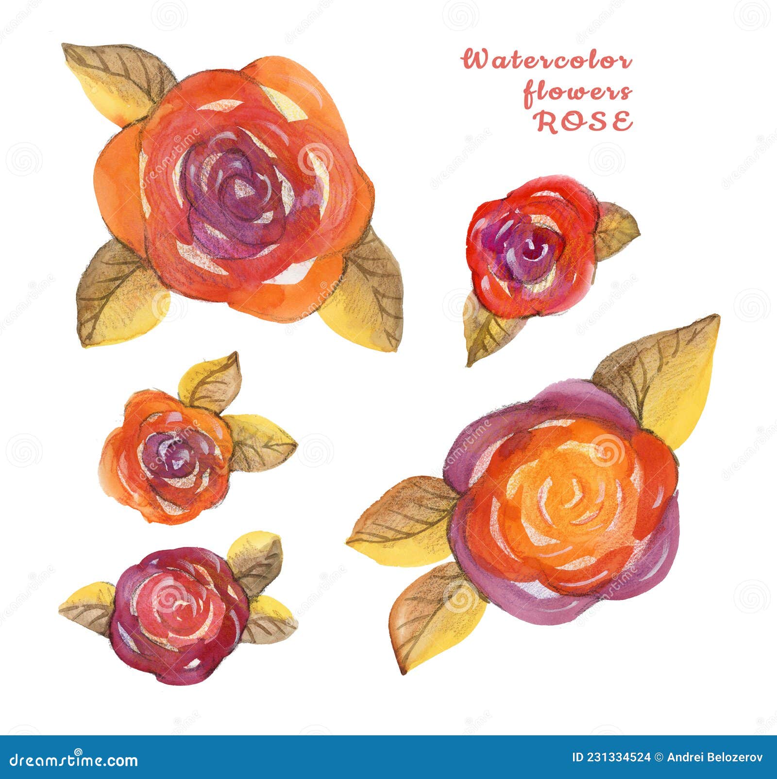 Watercolor Set Flower Hand-painted Isolated Bud Orange Red Rose and ...
