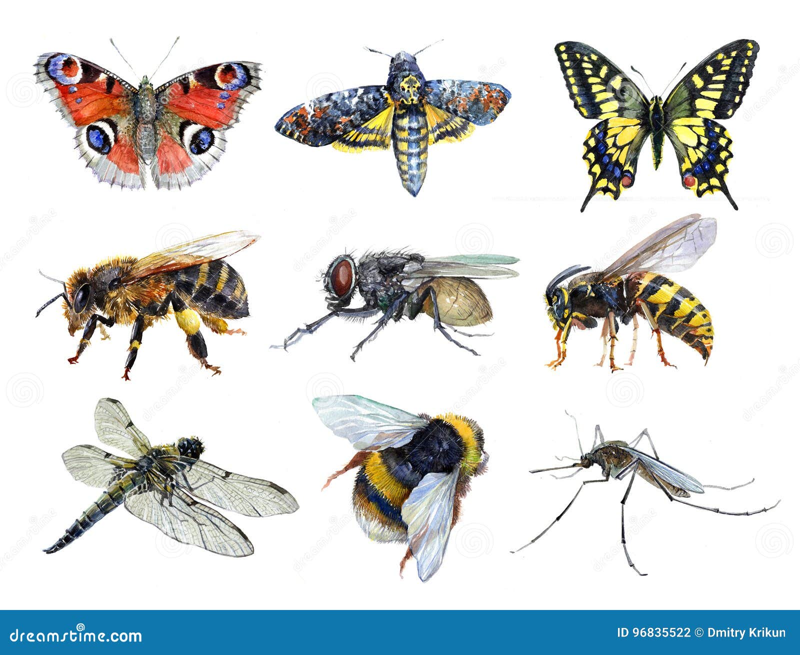 watercolor set of insect animals wasp, moth, mosquito, machaon, fly, dragonfly, bumblebee, bee, butterfly 