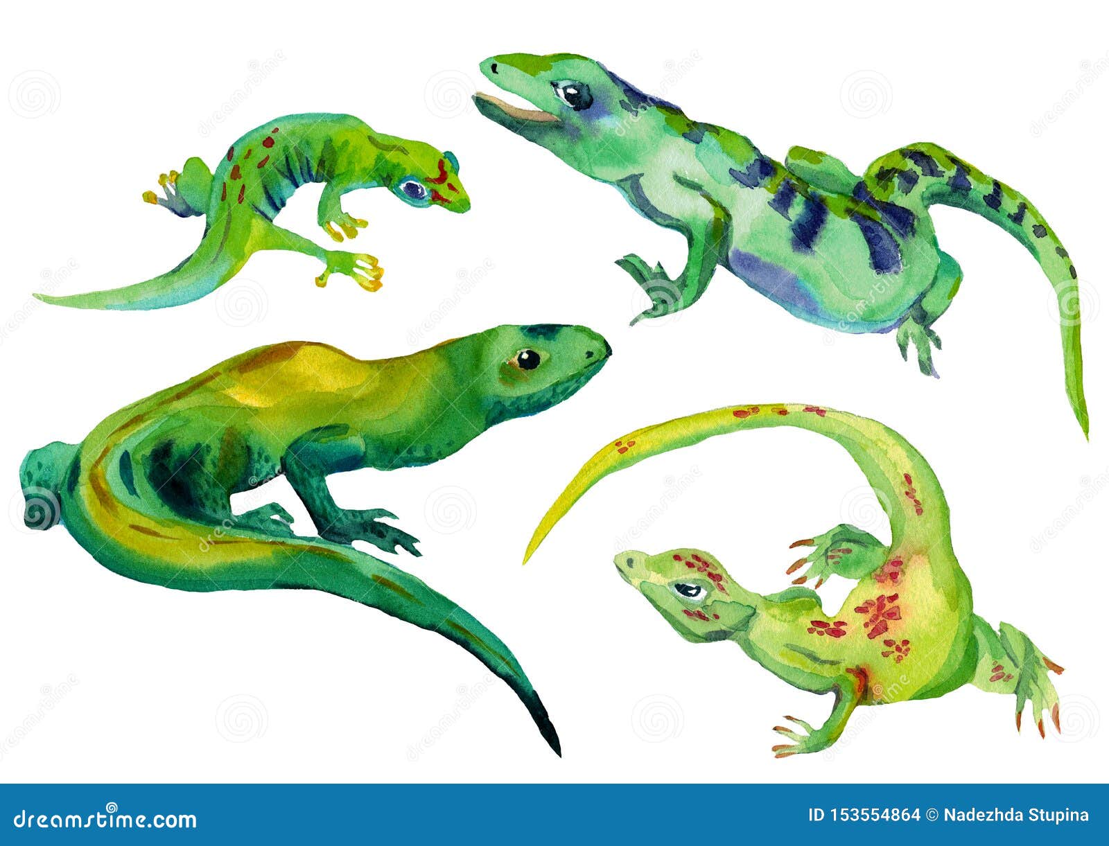 watercolor set of  tropical lizards green color