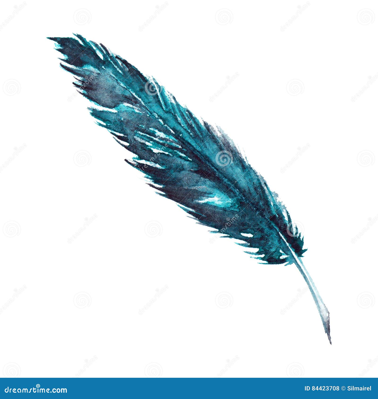 Watercolor Single Navy Blue Turquoise Bird Feather Isolated Stock