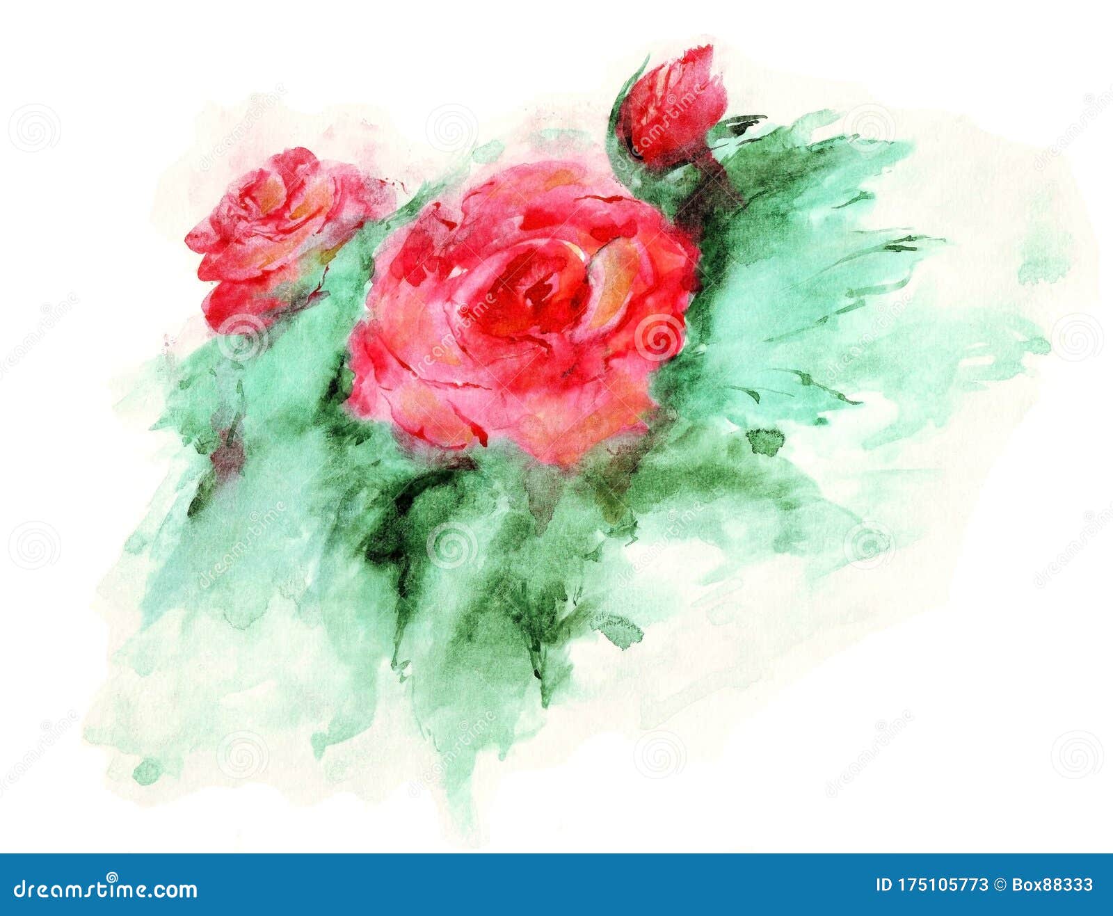 Watercolor Sketch of Red Roses. Two Flowers and a Bud, Green Leaves ...