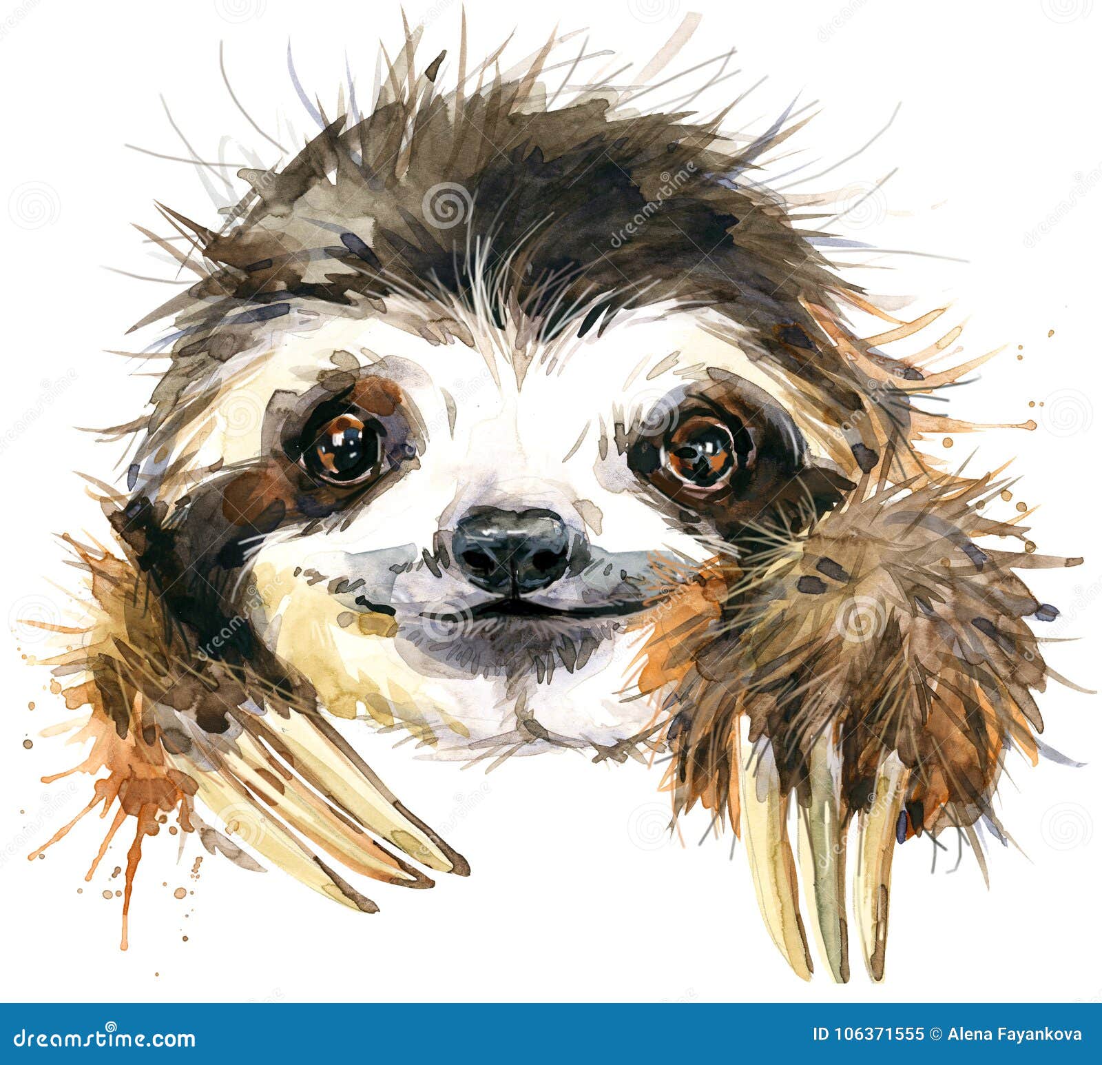 watercolor sloth . tropical animal