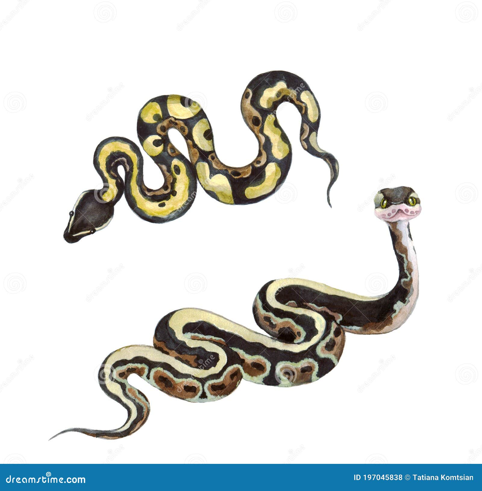 Illustration of a Cute Menacing Looking Snake Stock Vector Image & Art -  Alamy