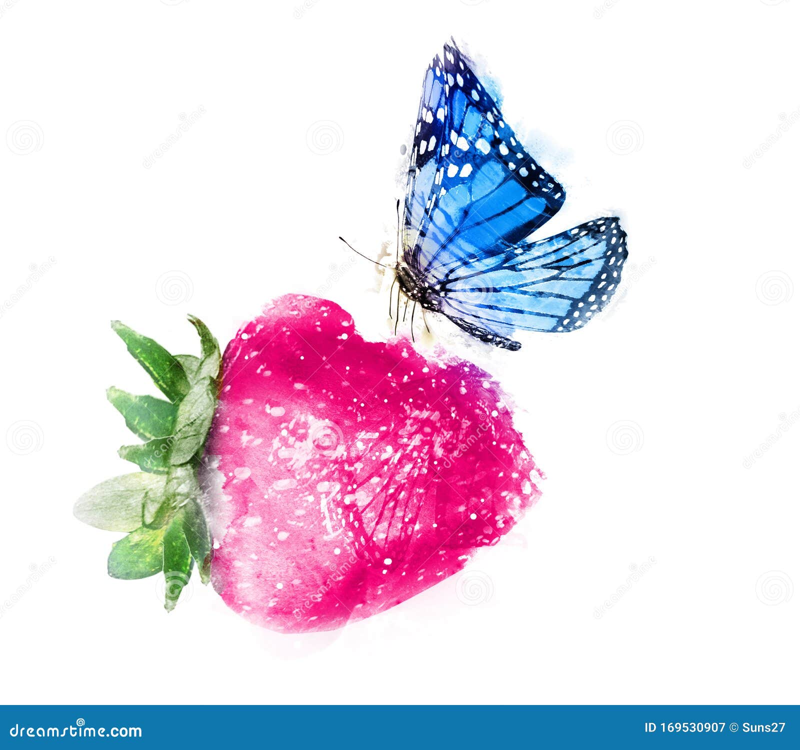 Watercolor Strawberry with Butterfly Stock Illustration Illustration of food, isolated 169530907