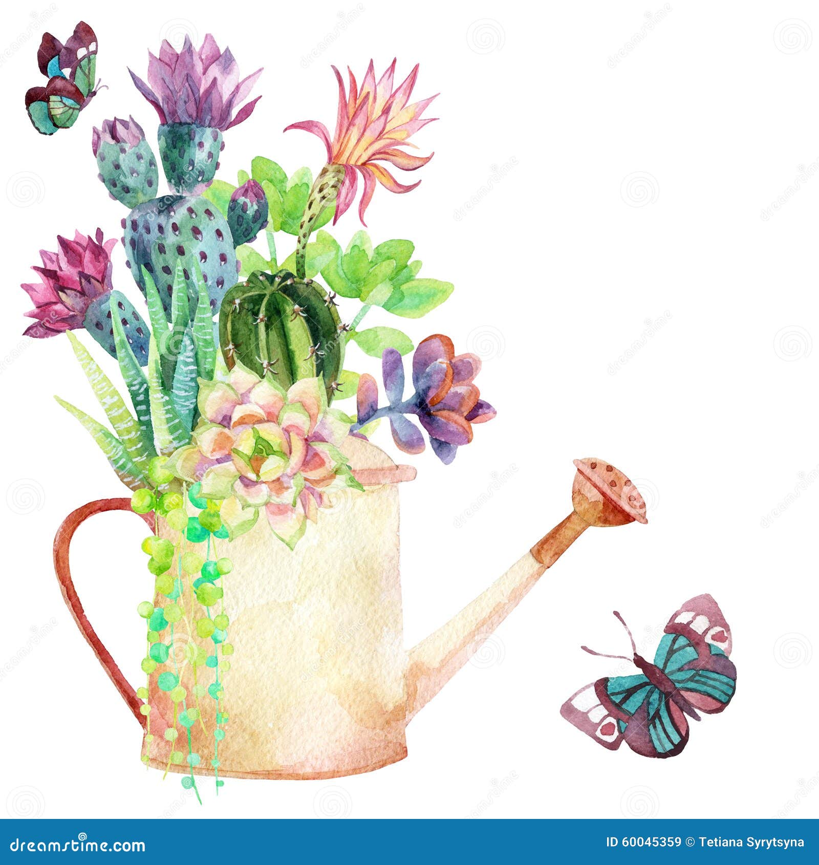 Watercolor Succulents. Stock Illustration - Image: 60045359