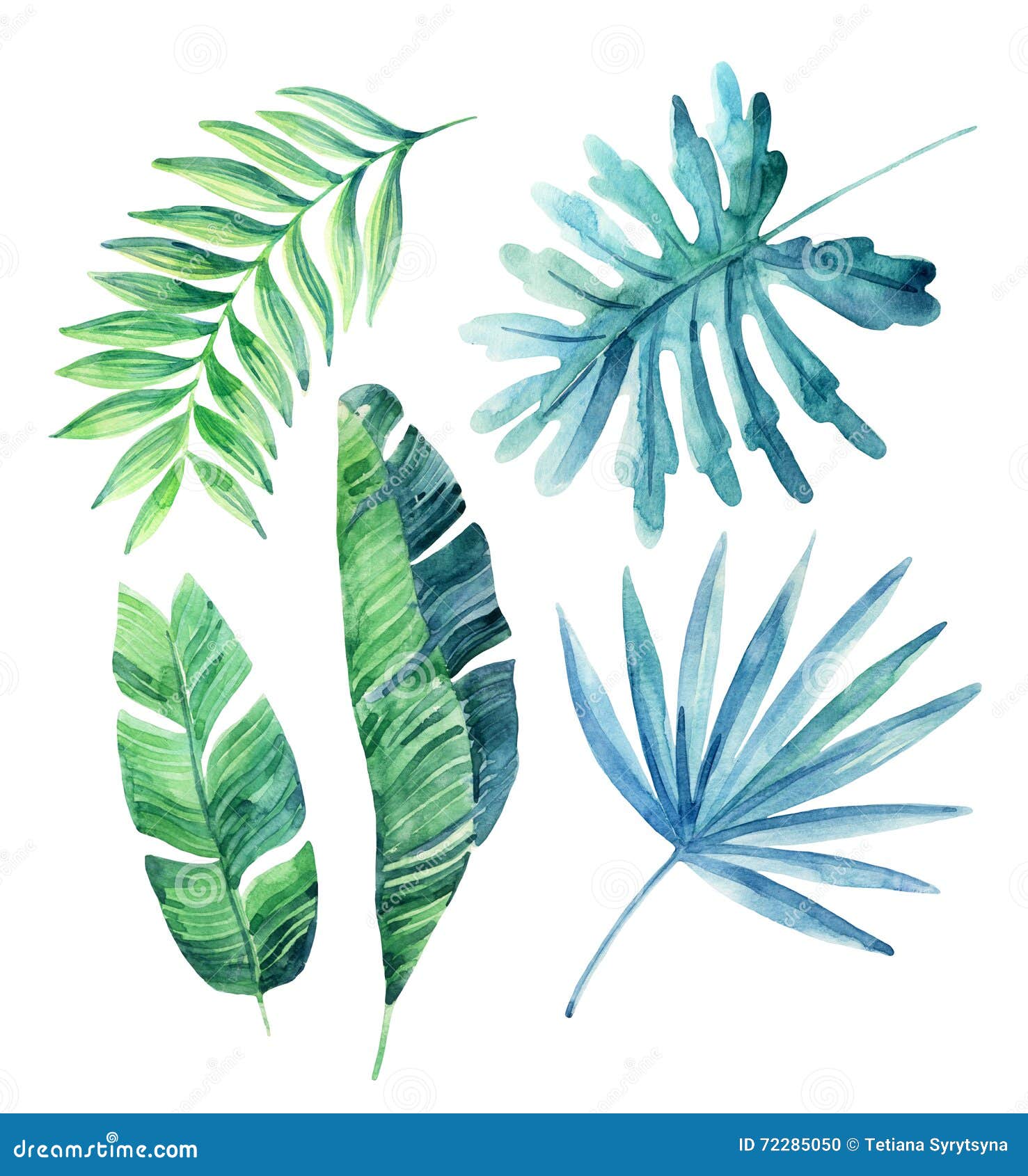 Watercolor Tropical Leaves Set Stock Illustration - Illustration of ...