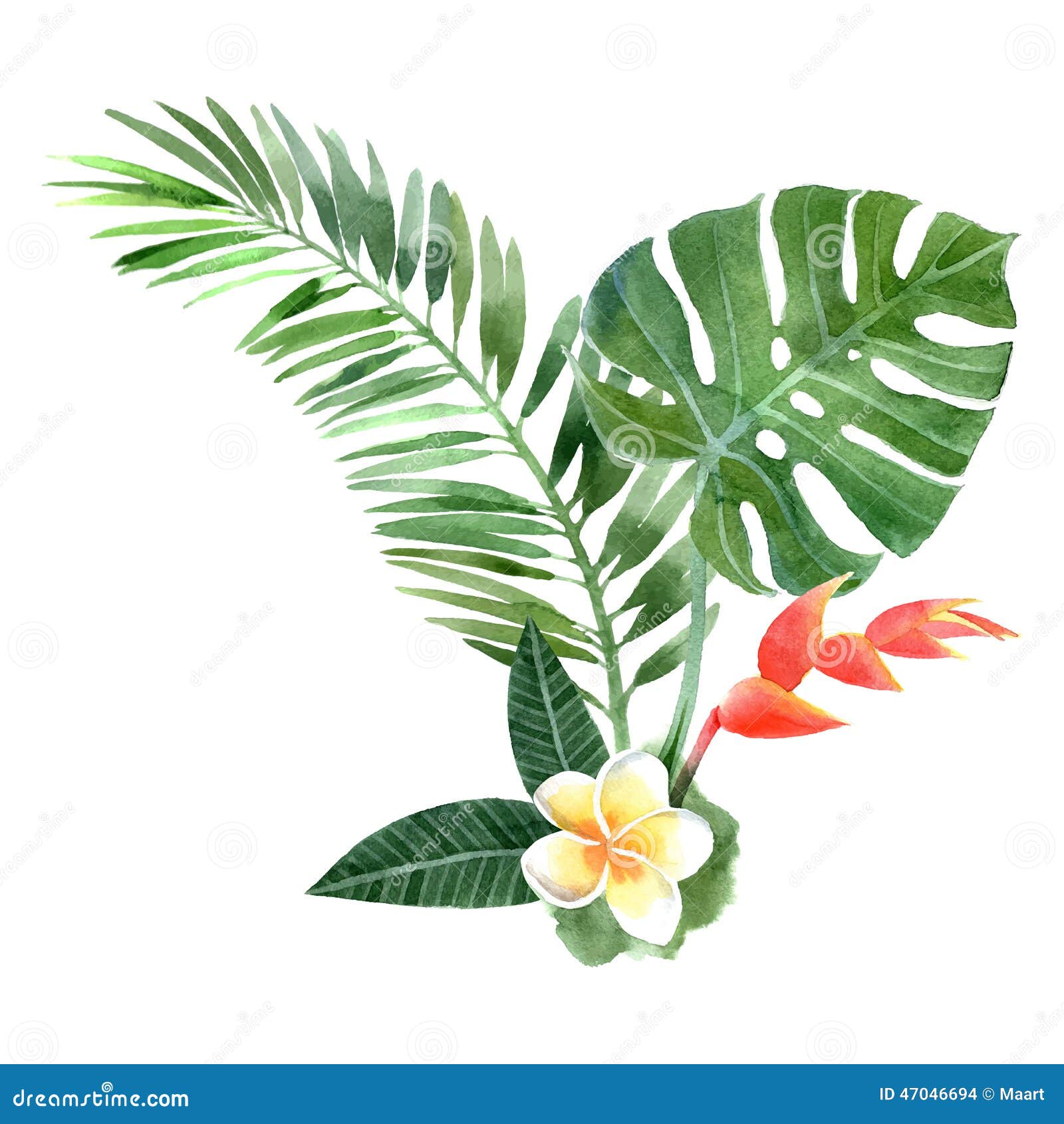 Watercolor Tropical Plants Stock Vector Image 47046694