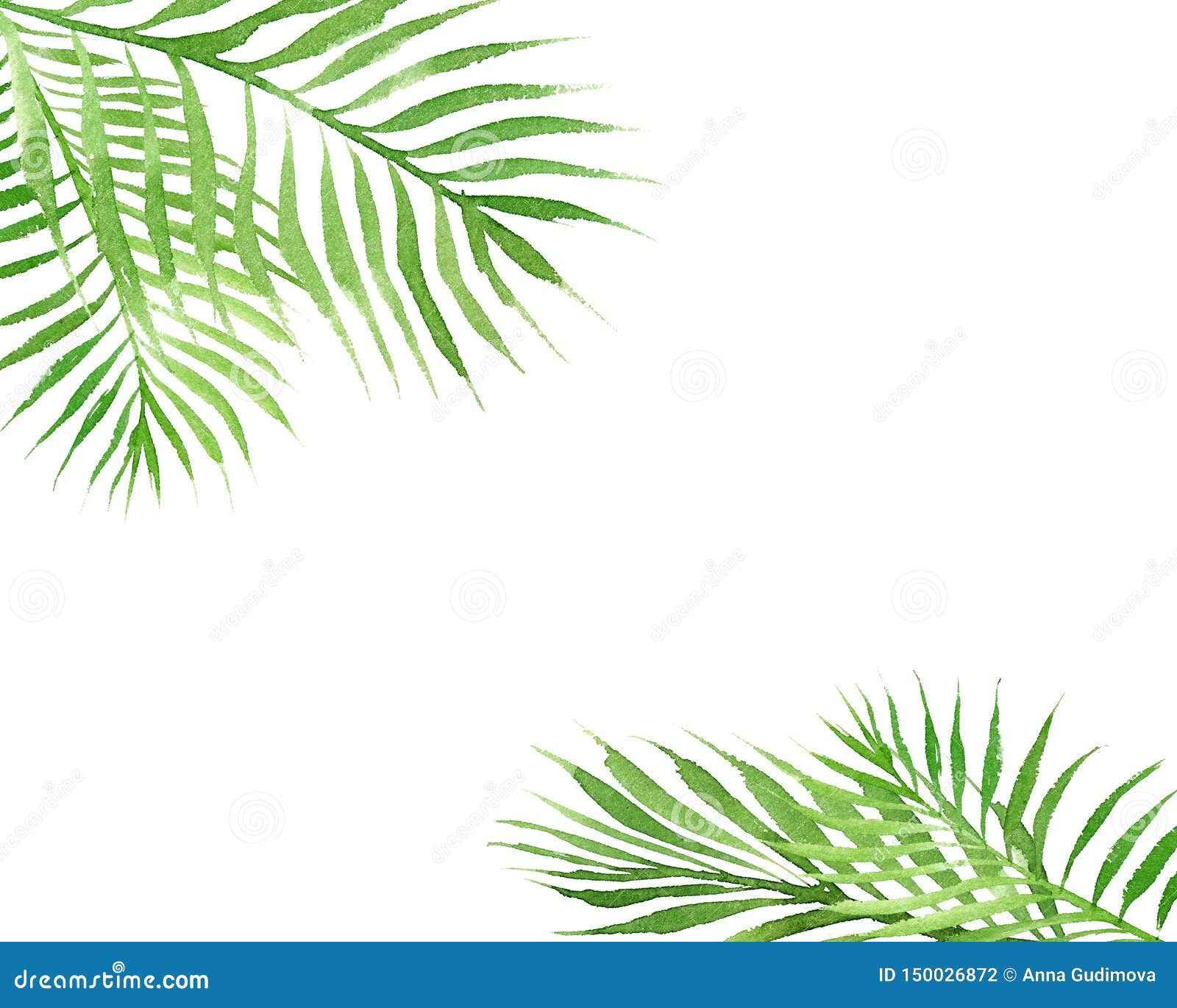 Watercolor Tropical Simple Border Frame With Palm Tree Leaves