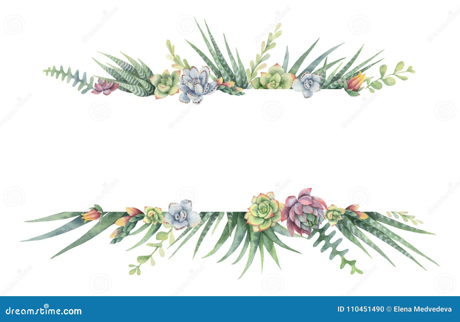 Download Watercolor Vector Banner Of Cacti And Succulent Plants Isolated On White Background. Stock ...