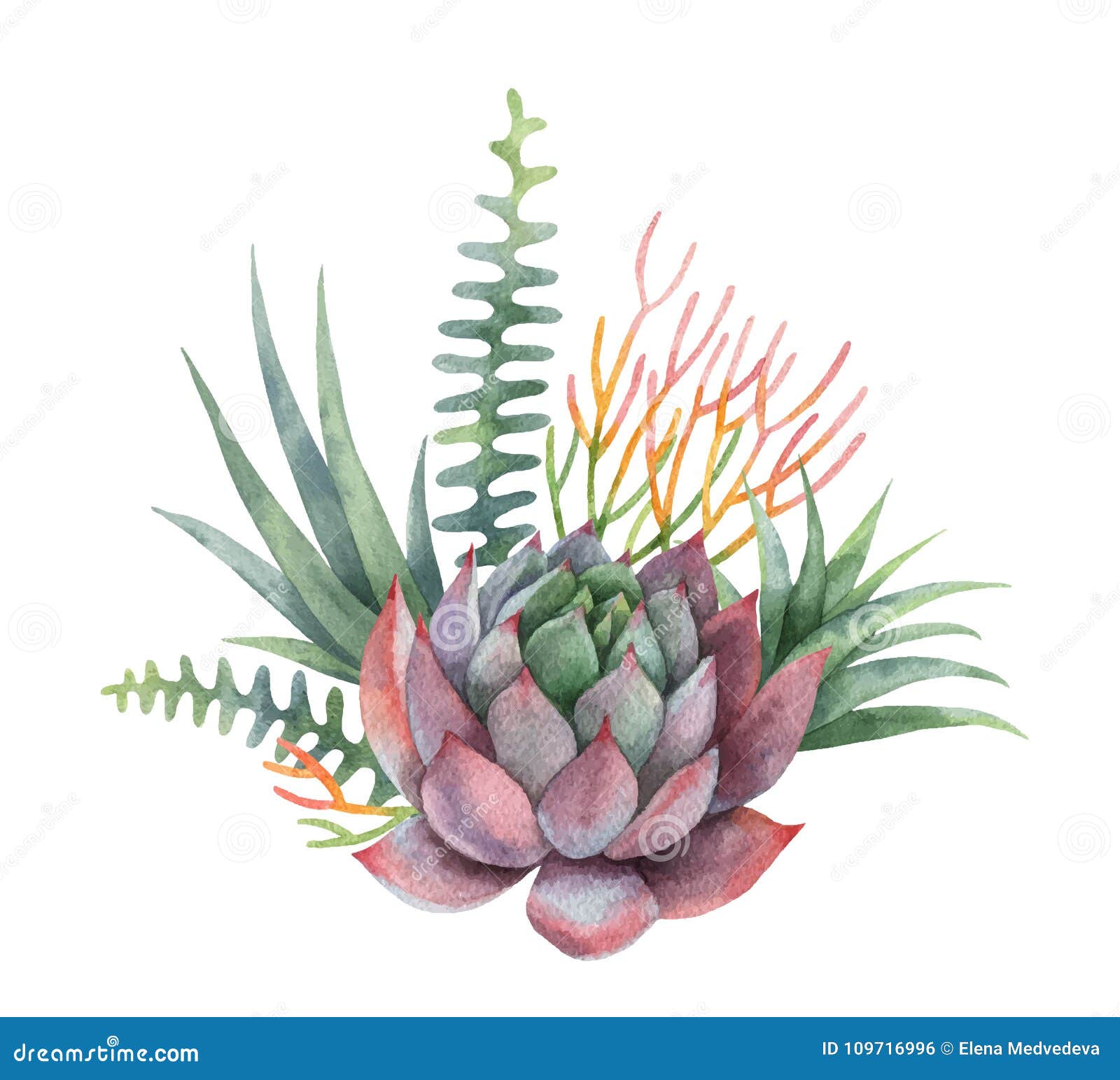 Watercolor Vector Bouquet Of Cacti And Succulent Plants Isolated On