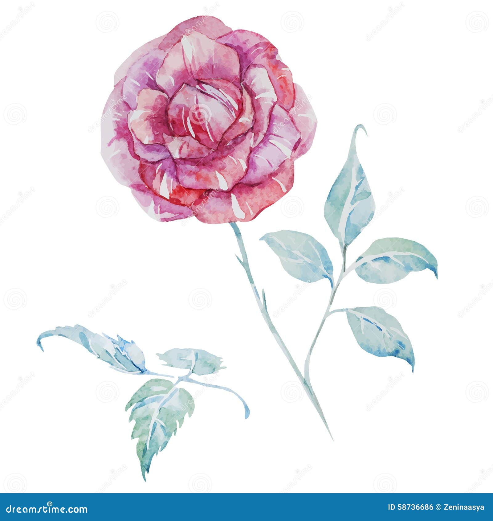 Watercolor vector roses stock vector. Illustration of card - 58736686