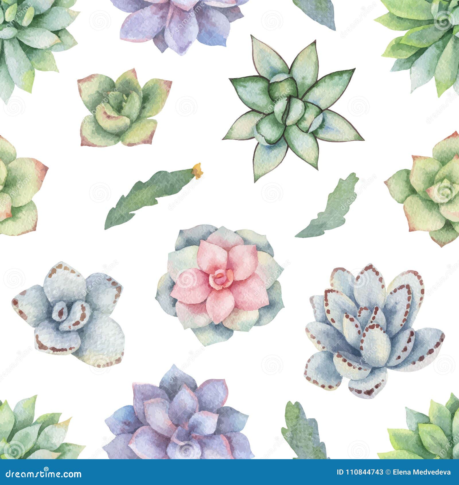 Download Watercolor Vector Seamless Pattern Of Cacti And Succulent Plants Isolated On White Background ...