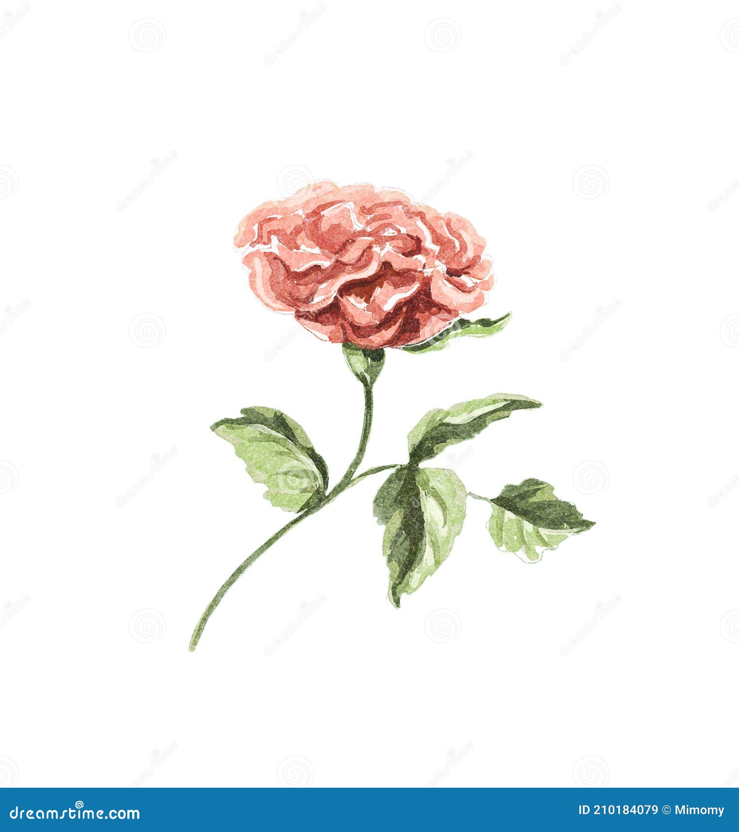 Watercolor Vintage Cartoon Single Red Rose Stock Illustration ...