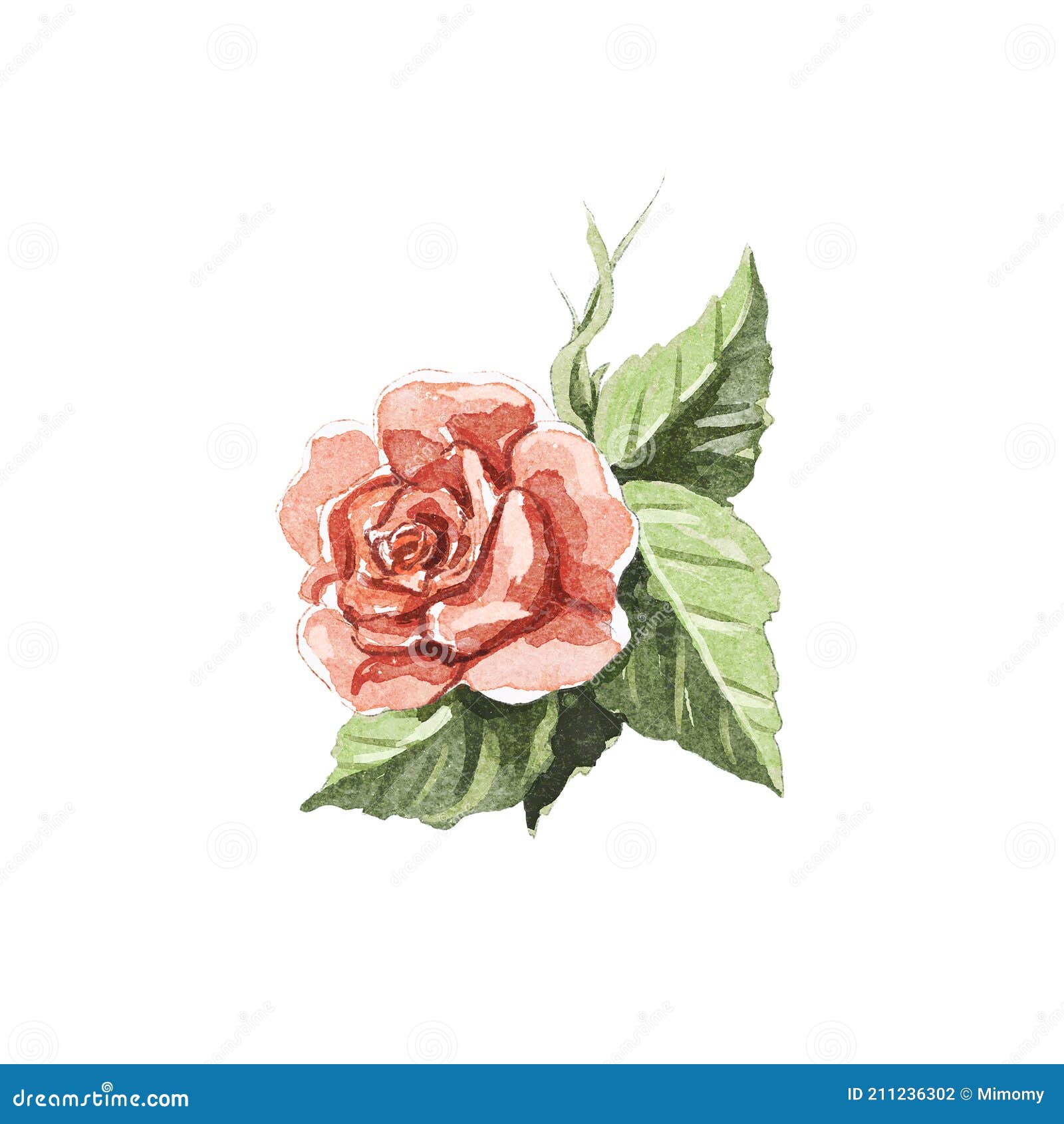 Watercolor Vintage Cartoon Single Red Rose Stock Illustration ...