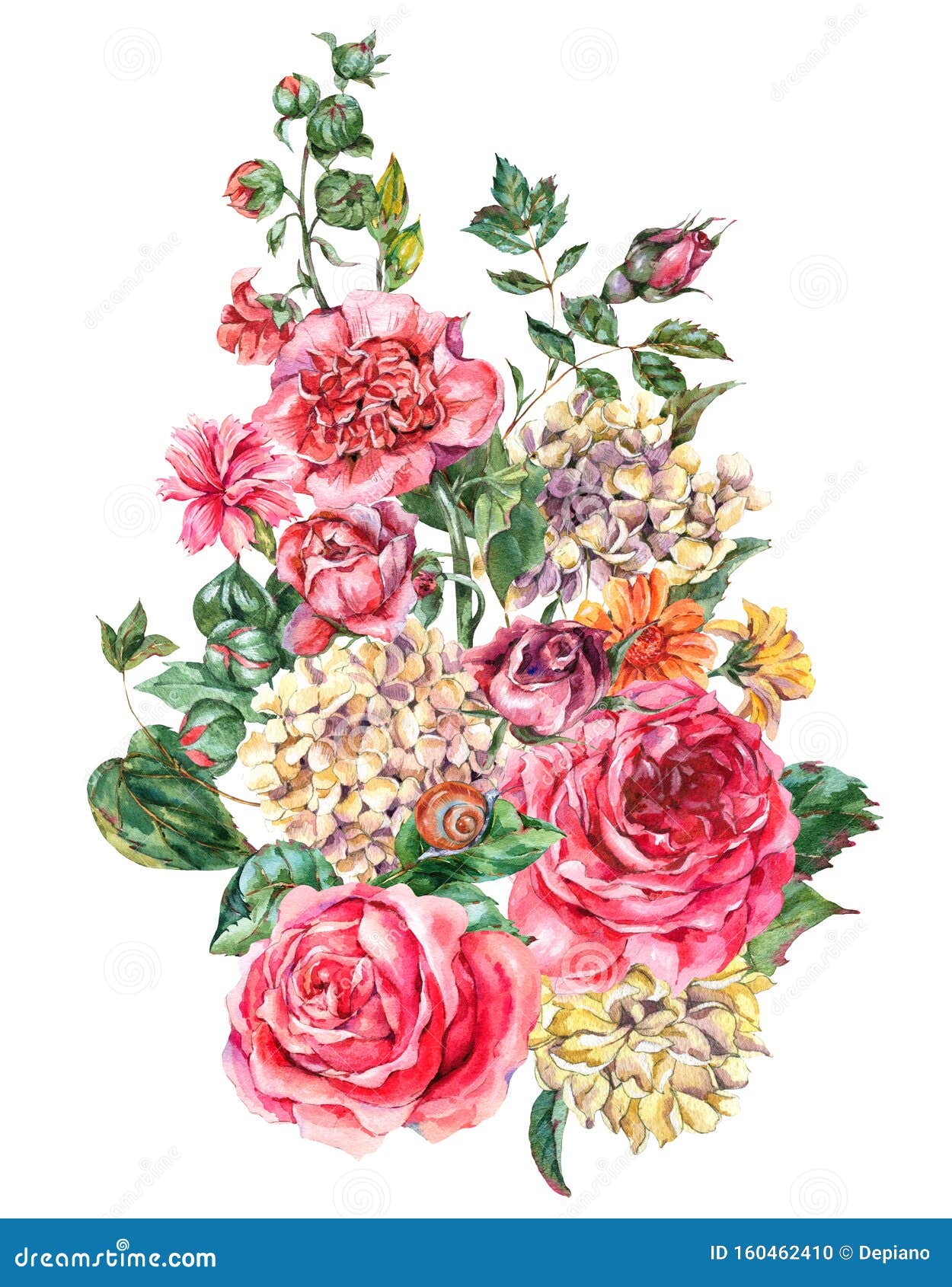 Watercolor Vintage Floral Bouquet with Pink Roses, Hydrangea, Snail and ...