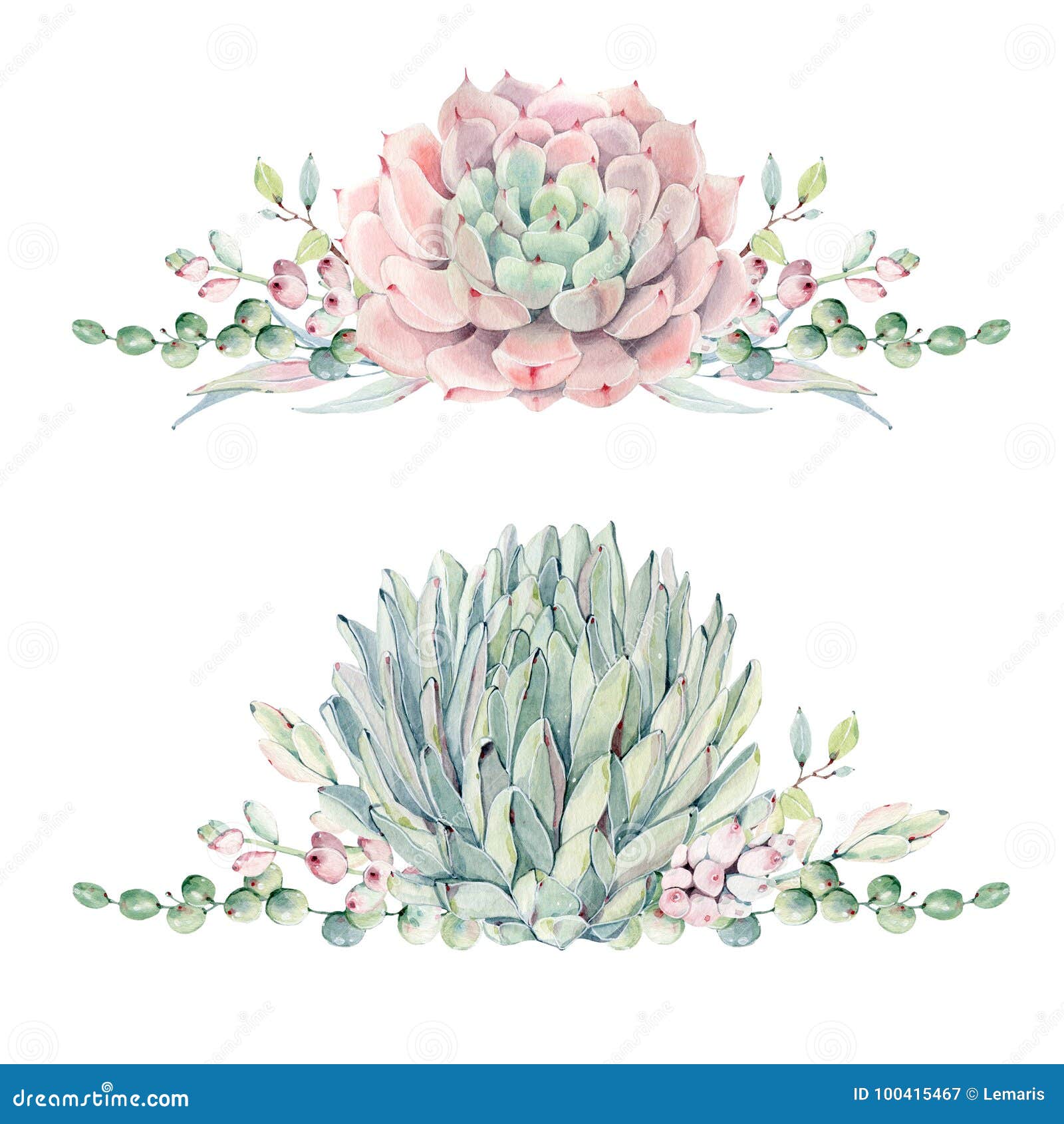 Featured image of post Vintage Succulent Illustration These antique botanical illustrations were published and issued on a periodic basis centuries ago