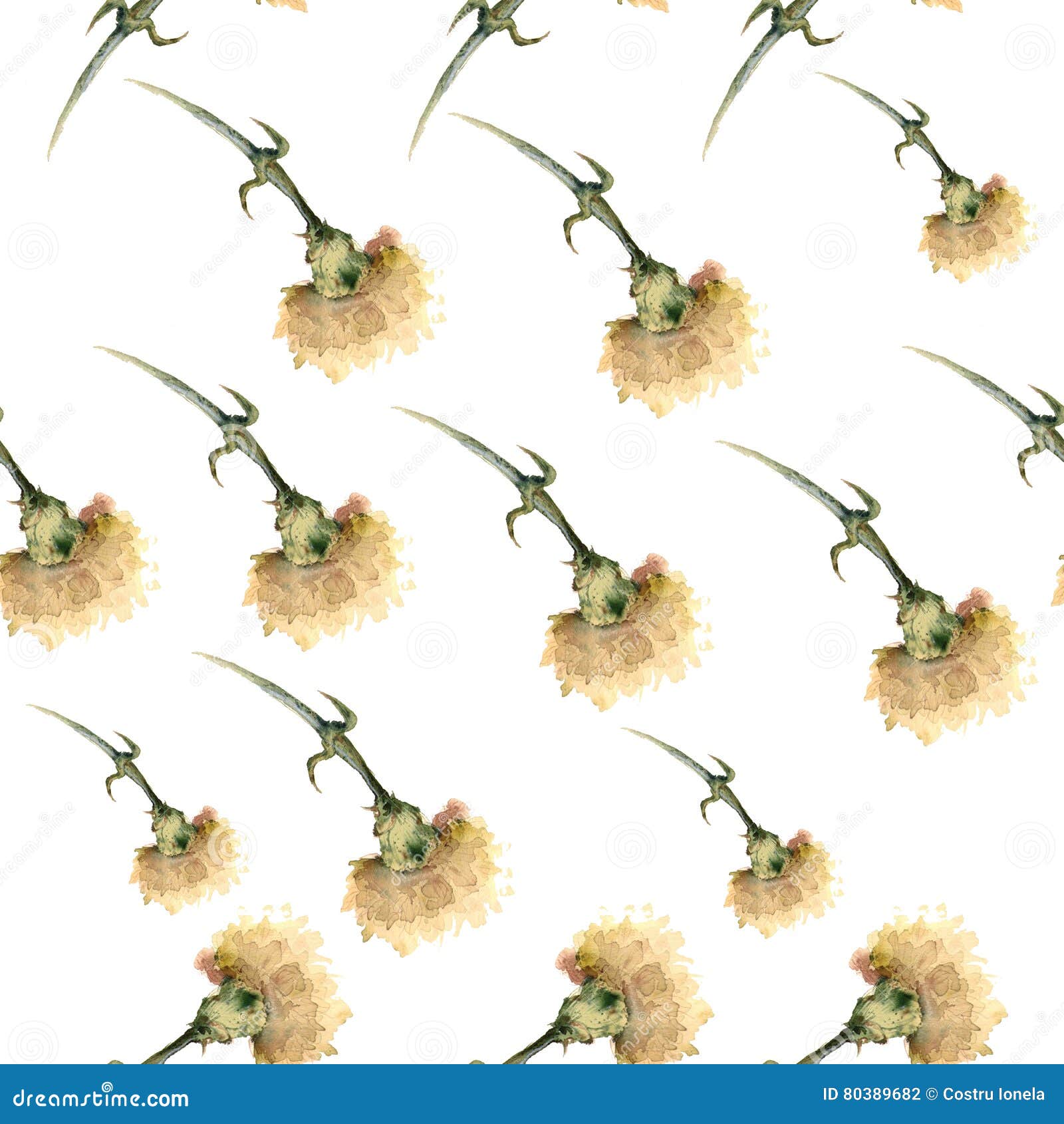 Watercolor White Carnation Pattern Stock Illustration Illustration of