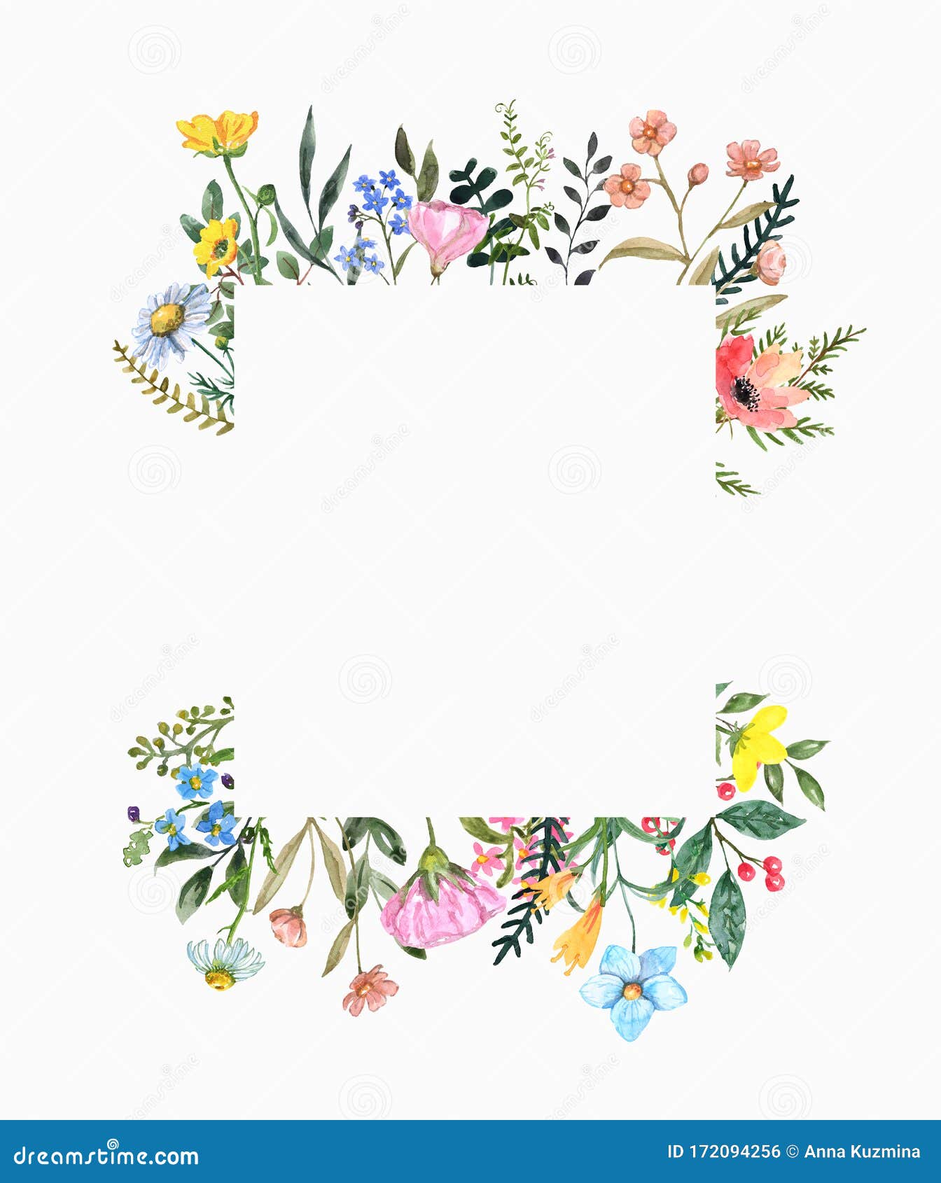 beautiful wildflower square border with hand painted summer meadow flowers, herbs, grass, leaves,  on white background.