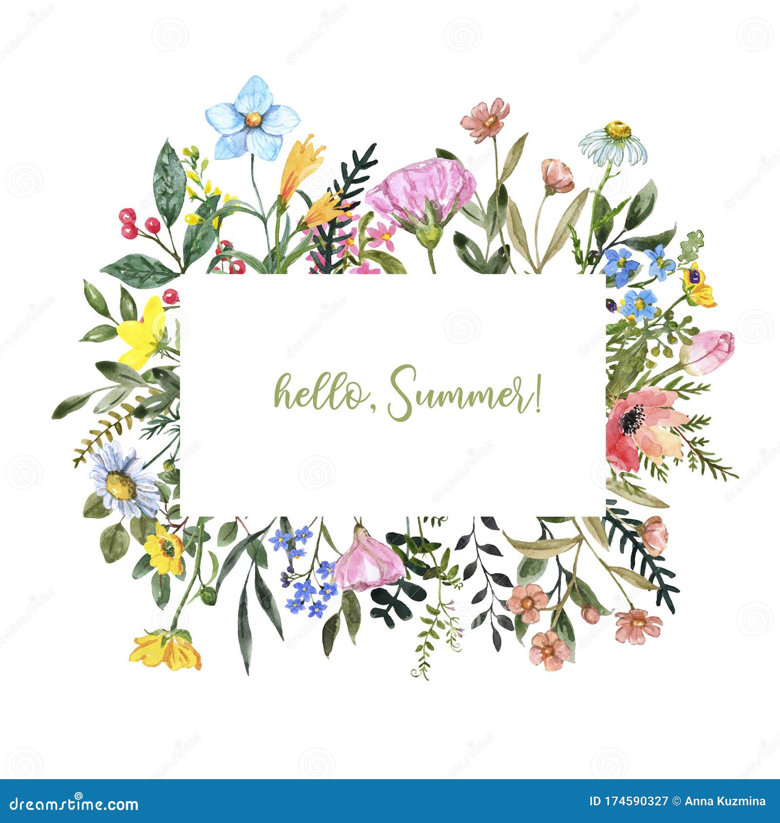 watercolor wildflower frame on white background. beautiful summer meadow flowers border, botanical backdrop for cards, invitations