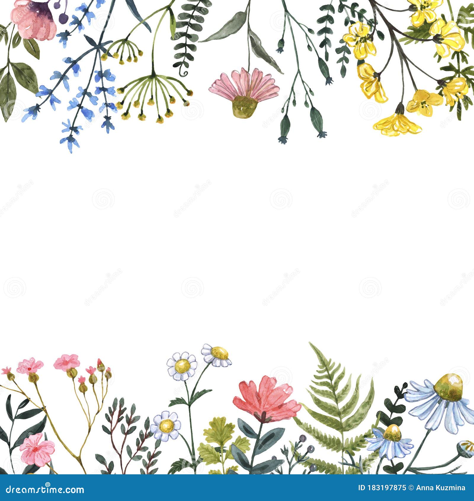 Floral Frame Border Watercolor Wildflower Clipart Lower Frame Botanical ...