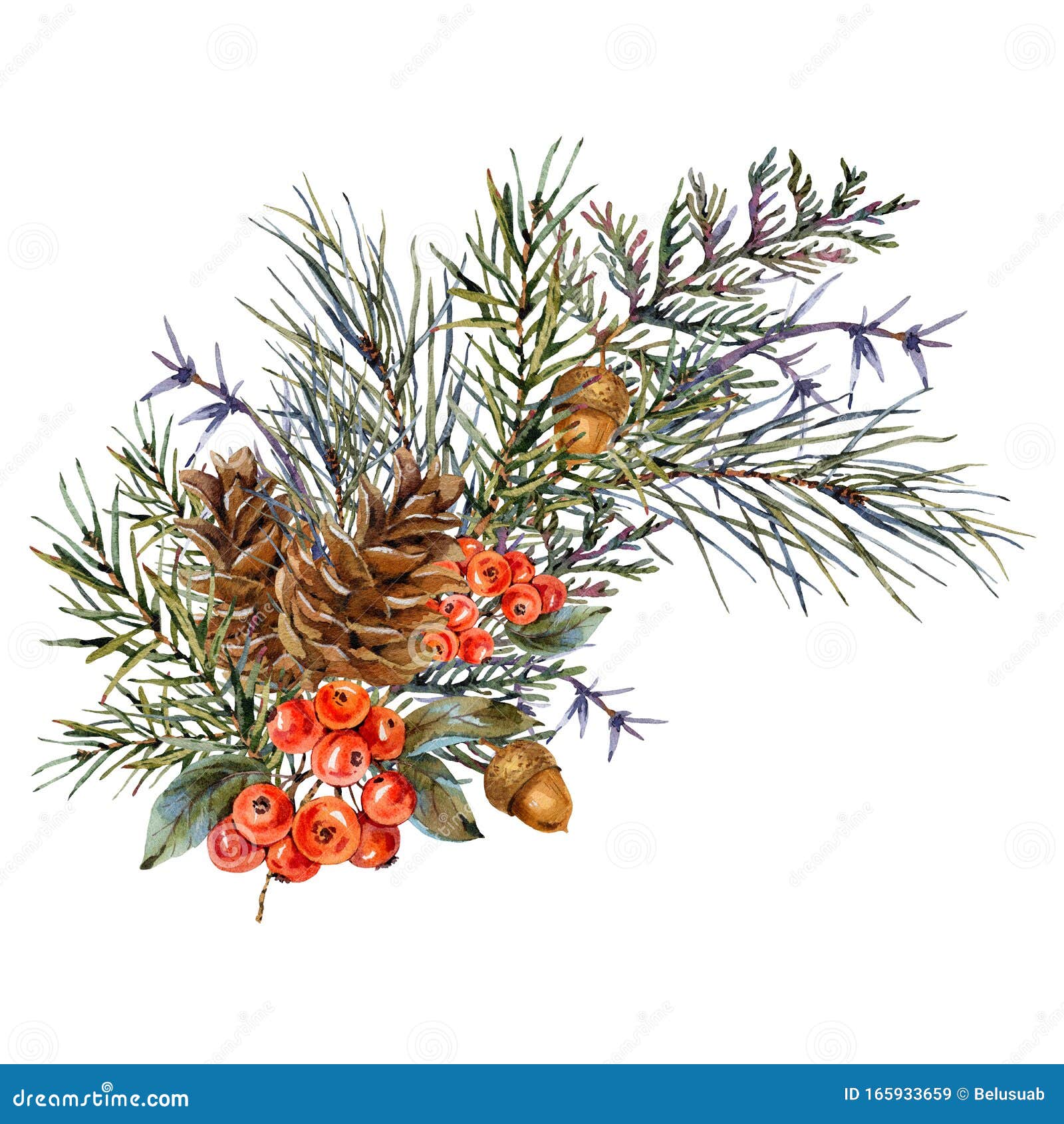 Watercolor Winter Bouquet with Spruce Branches, Pine Cones, Acorn ...